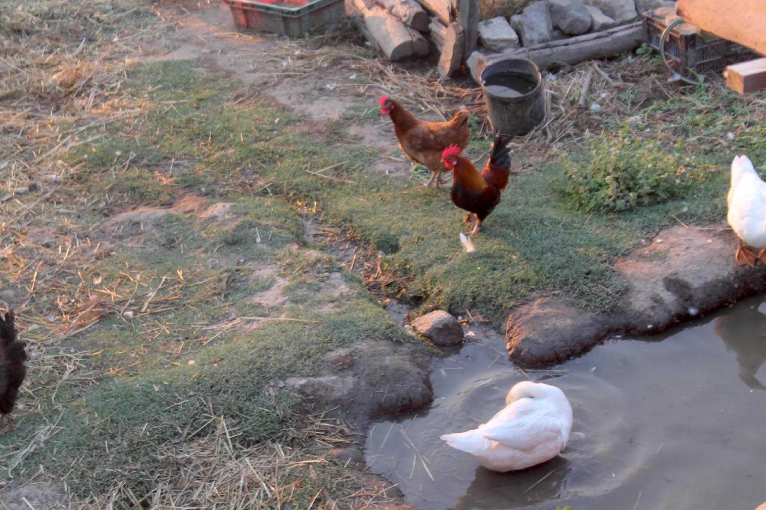 Gift card for Quinta da Mata