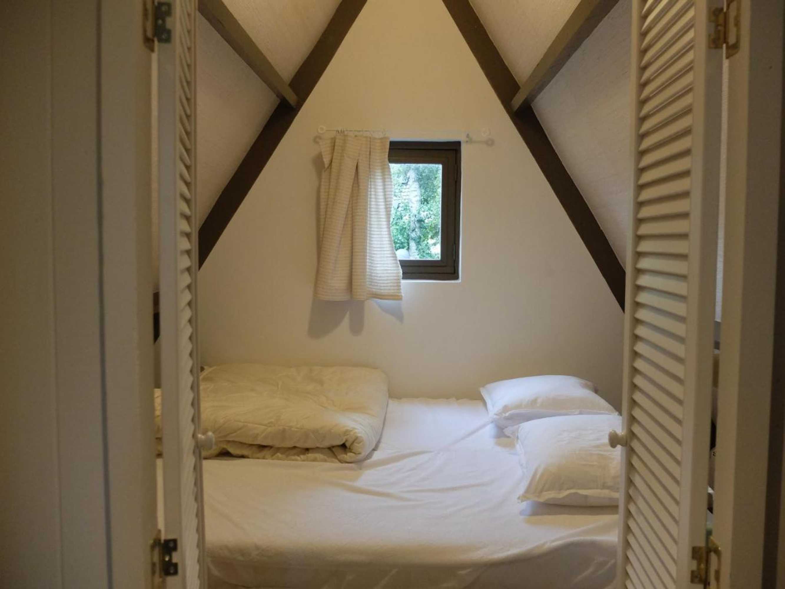 Gift card for Pelt 35