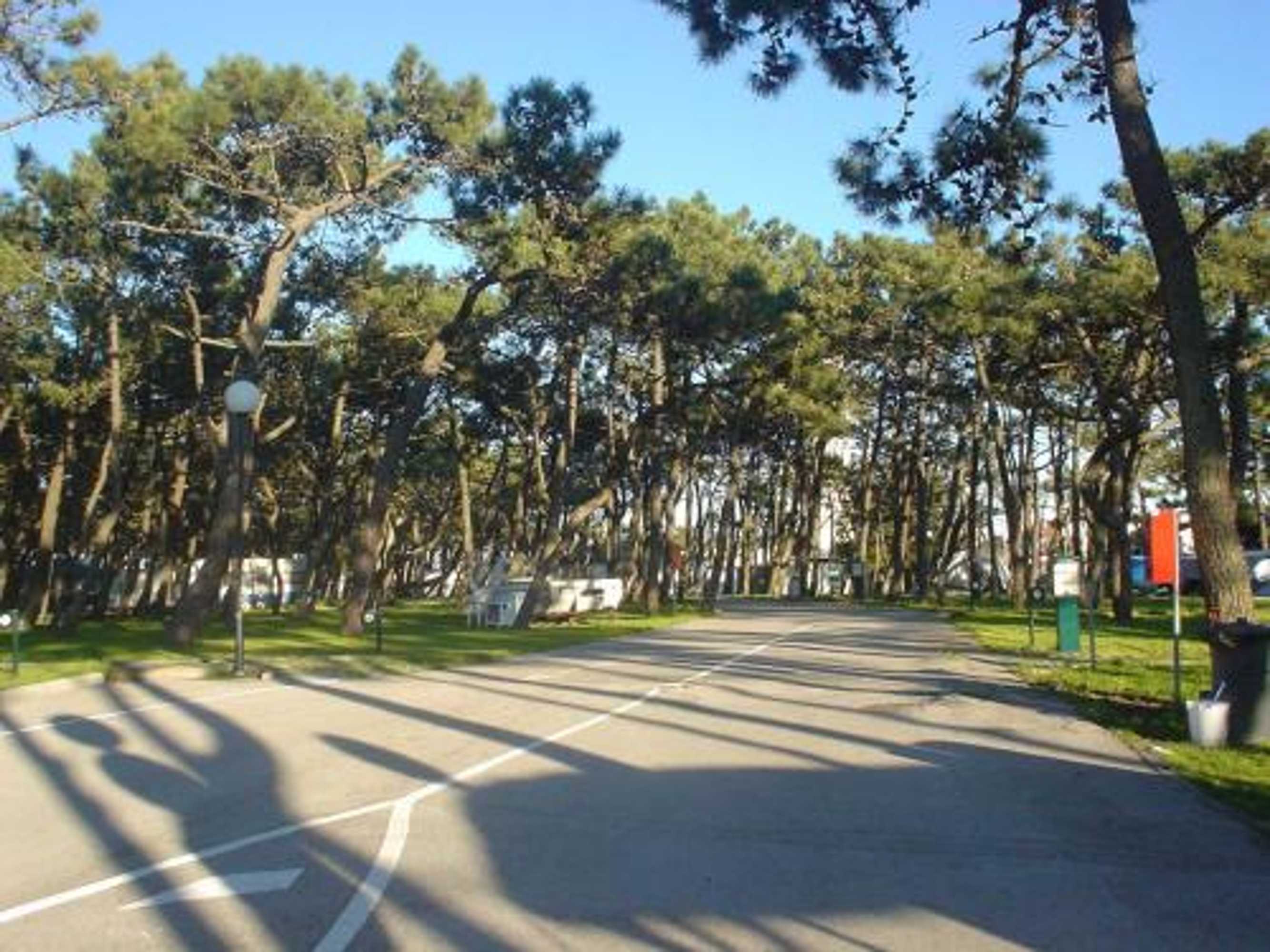 Gift card for Parque de Campismo da Praia da Barra Gift card for Parque de Campismo da Praia da Barra