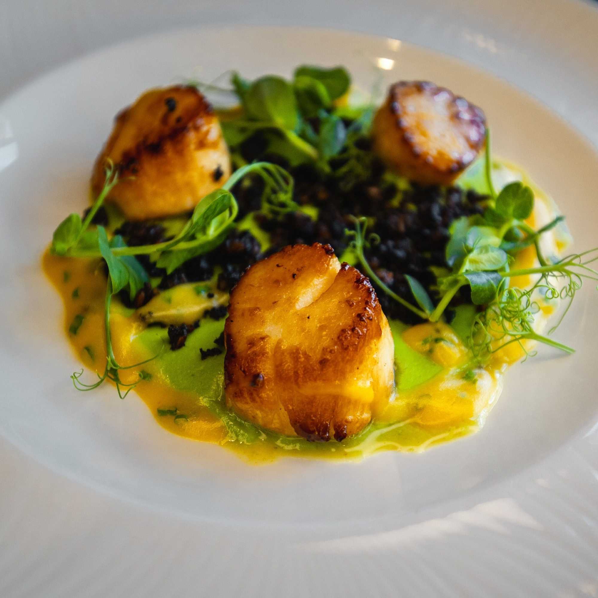 Gift card for Shannon Springs Hotel