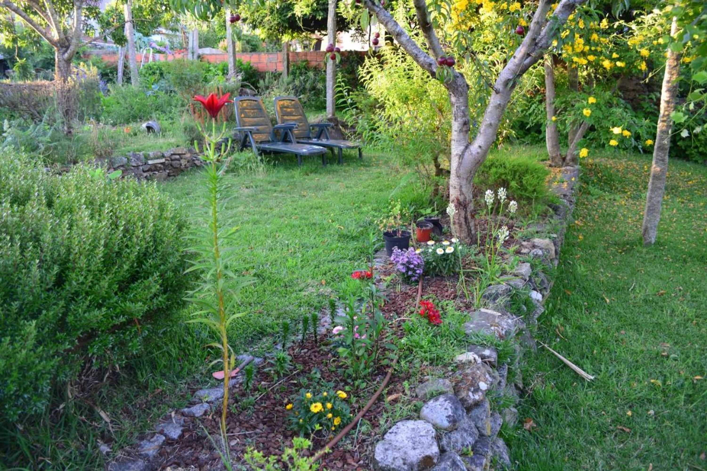 Gift card for Casa do Mestrinho