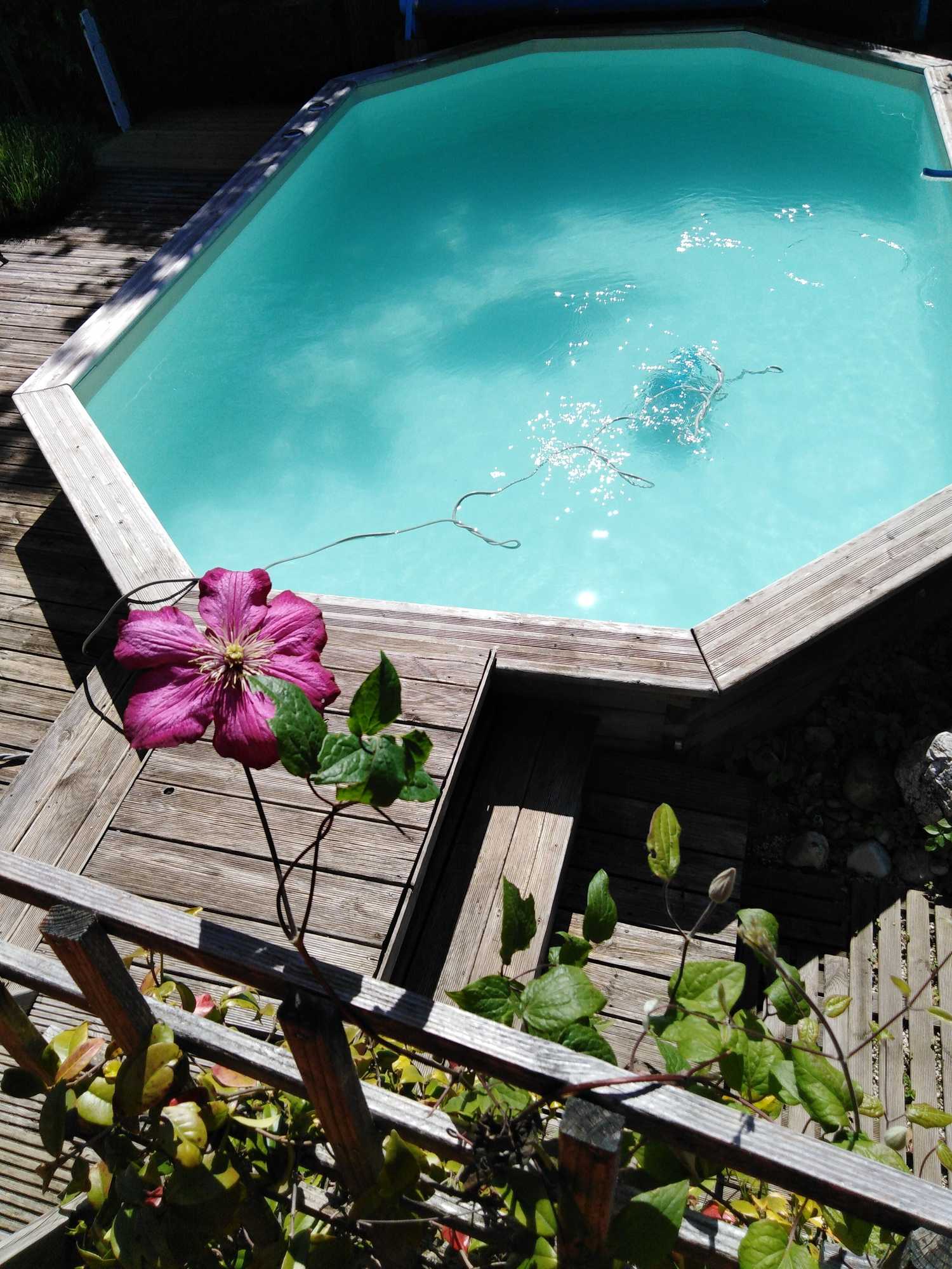Gift card for Chambres D'hôtes Chalet la Bachole Gift card for Chambres D'hôtes Chalet la Bachole