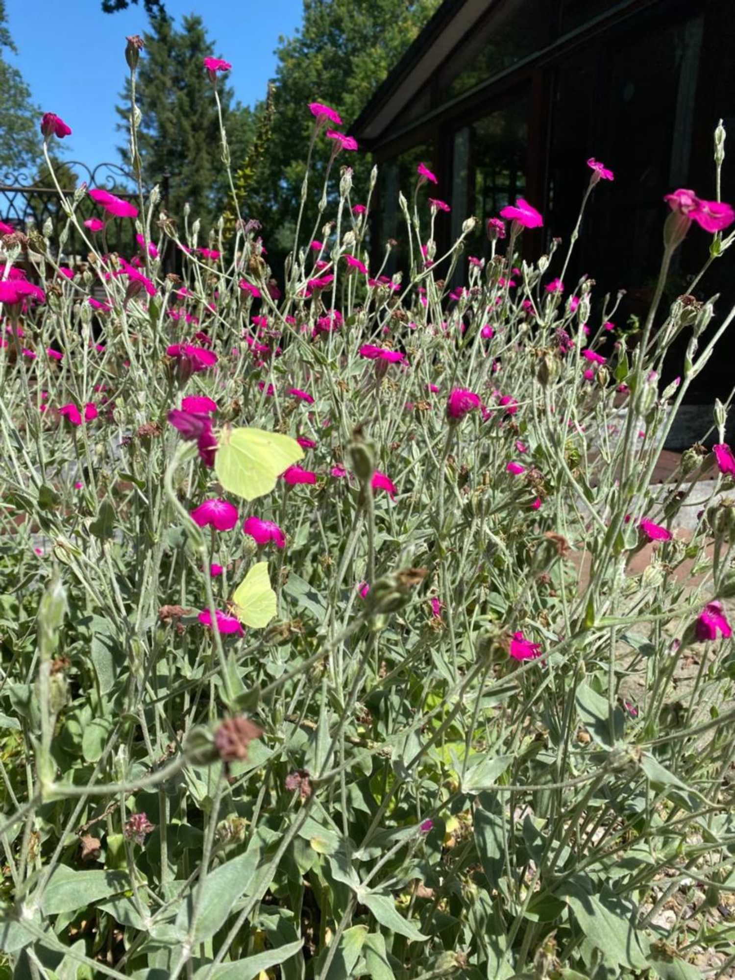 Gift card for Chalet de Kleine Eekhoorn