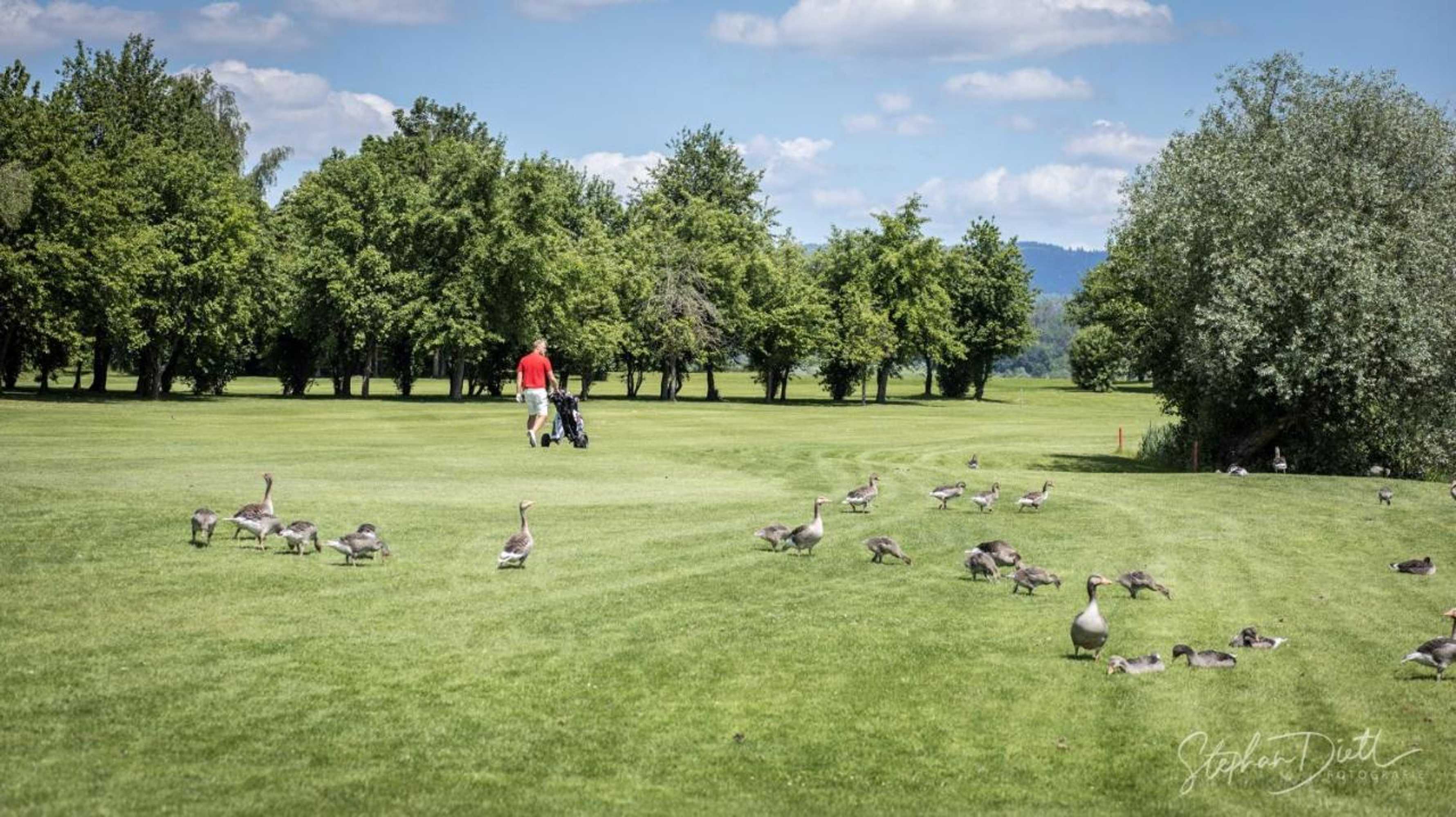 Gift card for Bachhof Resort Apartments