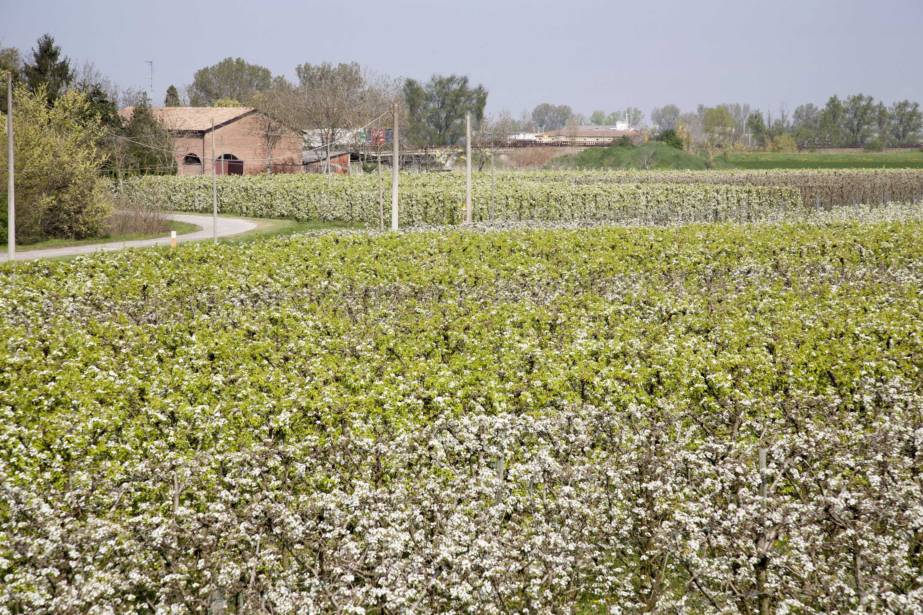 Gift card for Agriturismo Dosso al Porto Gift card for Agriturismo Dosso al Porto