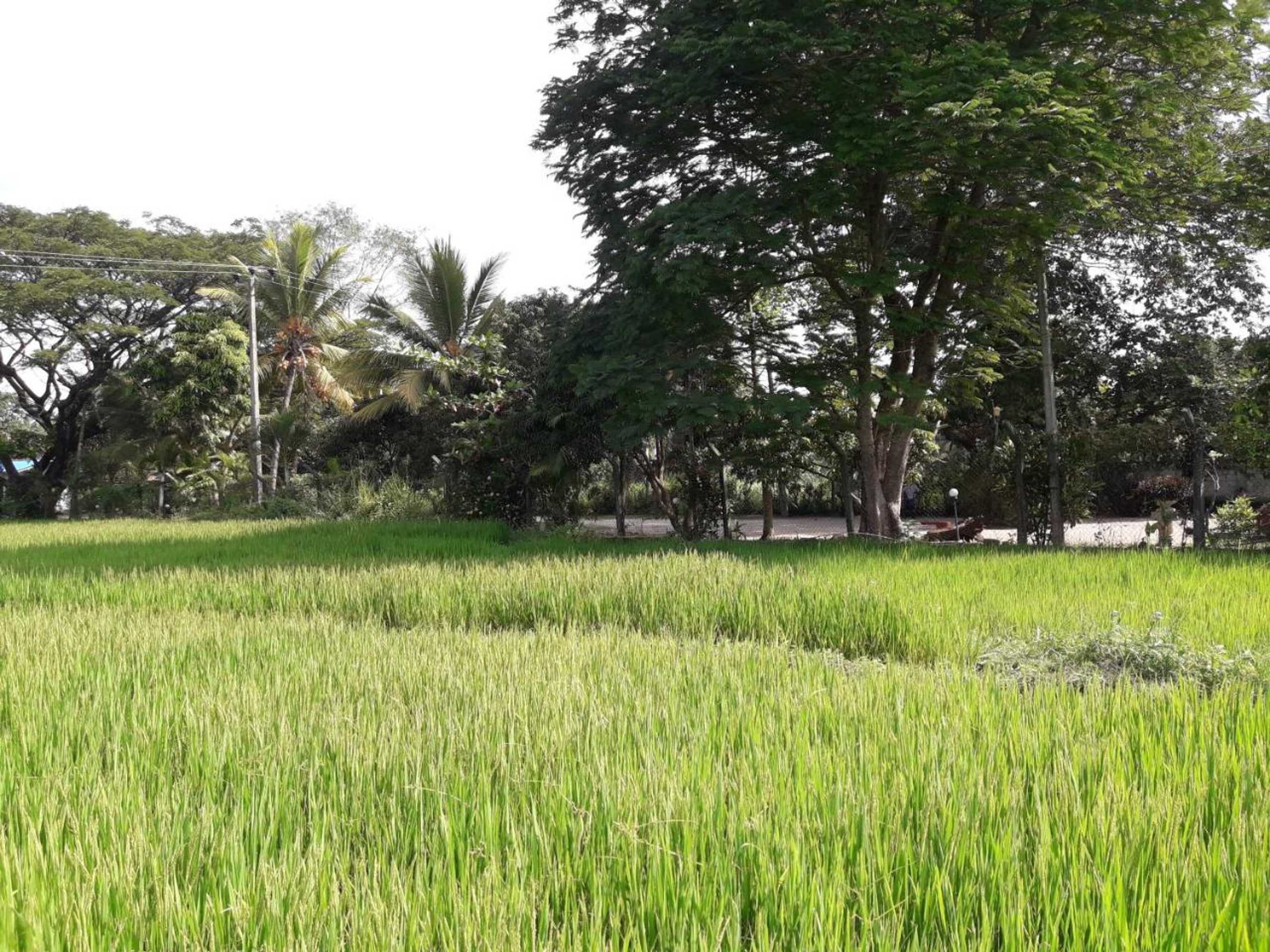 Gift card for Hansika Guest Inn