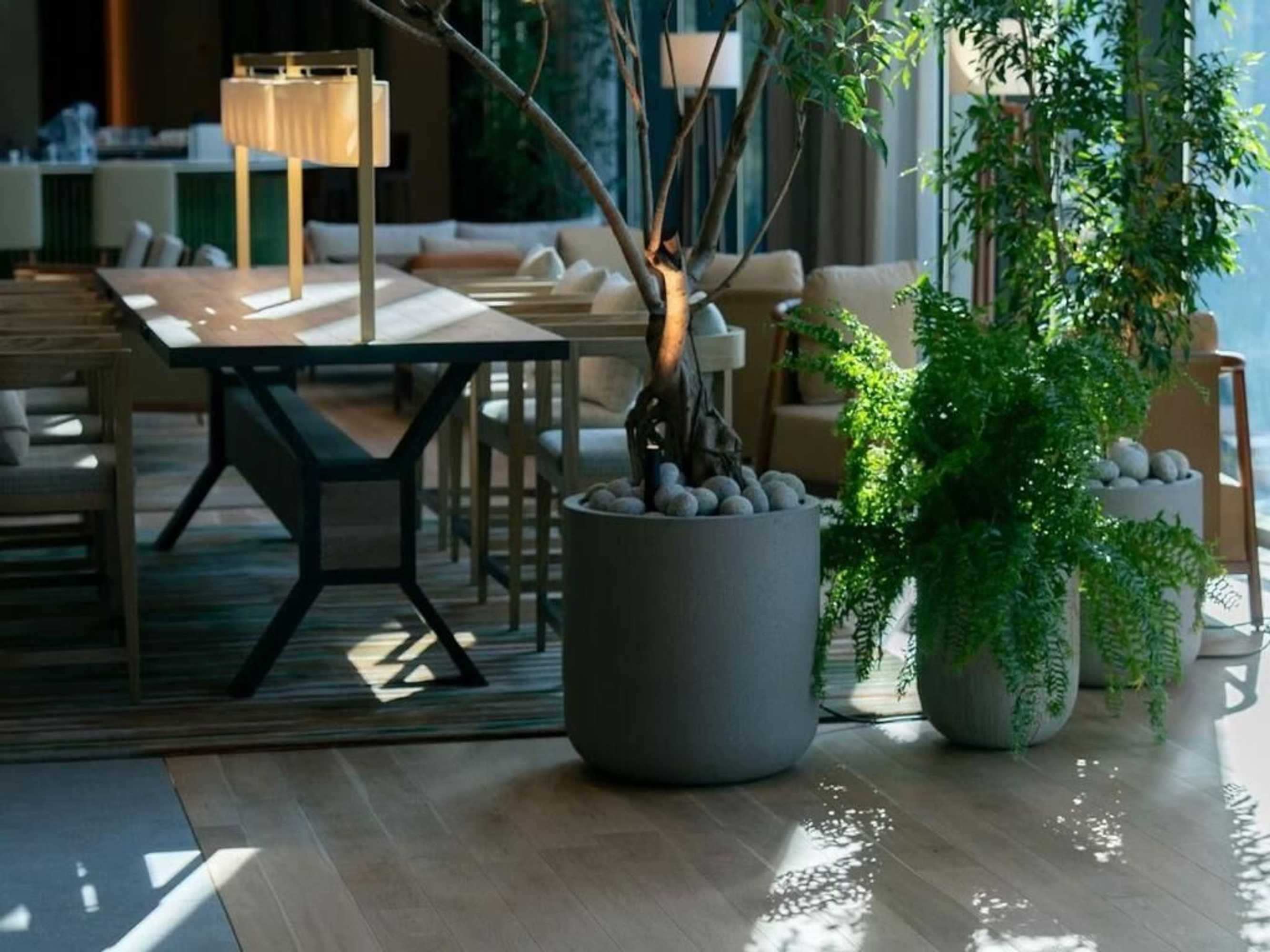 Gift card for Greenity Iwata Gift card for Greenity Iwata