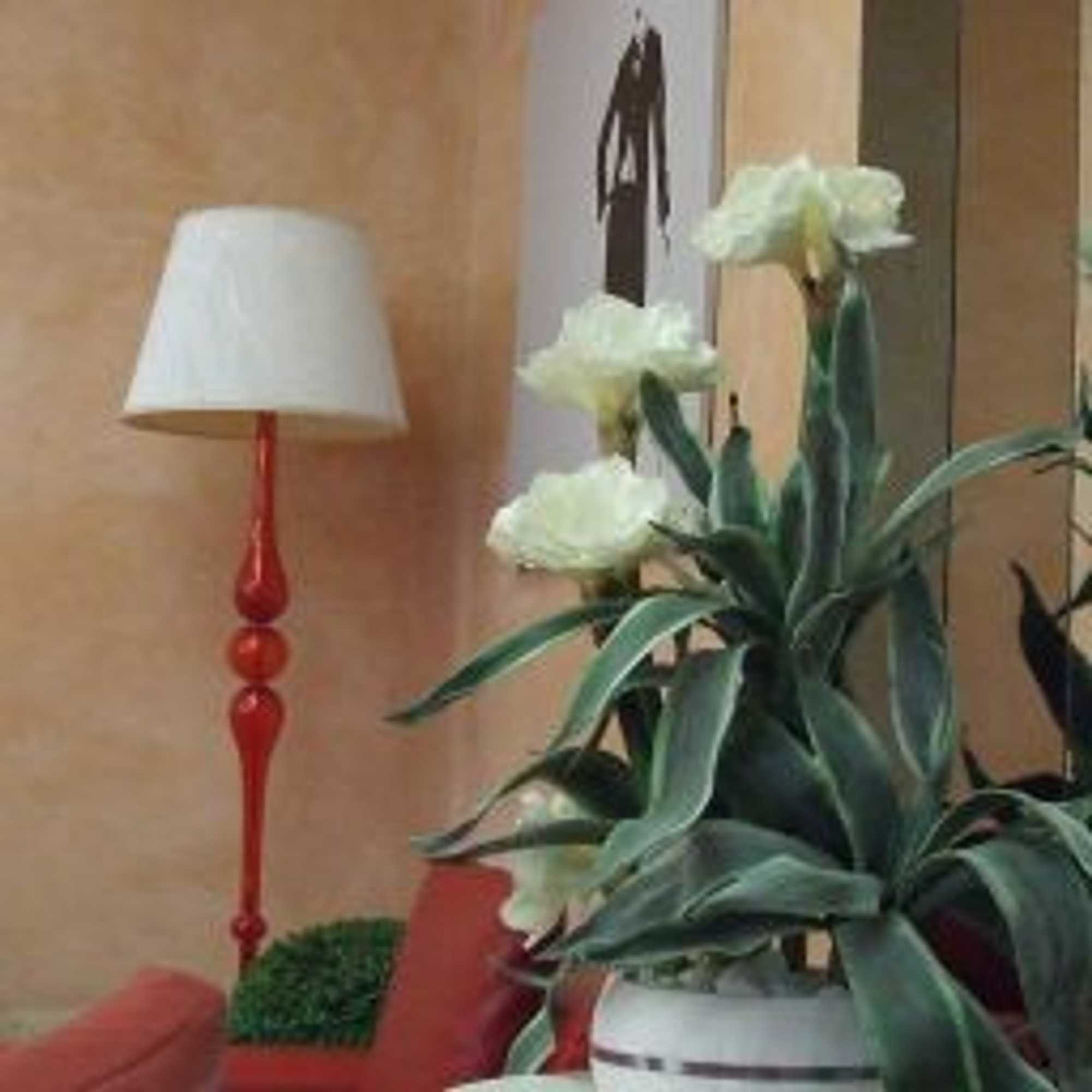 Gift card for Hotel Valbrenta Gift card for Hotel Valbrenta