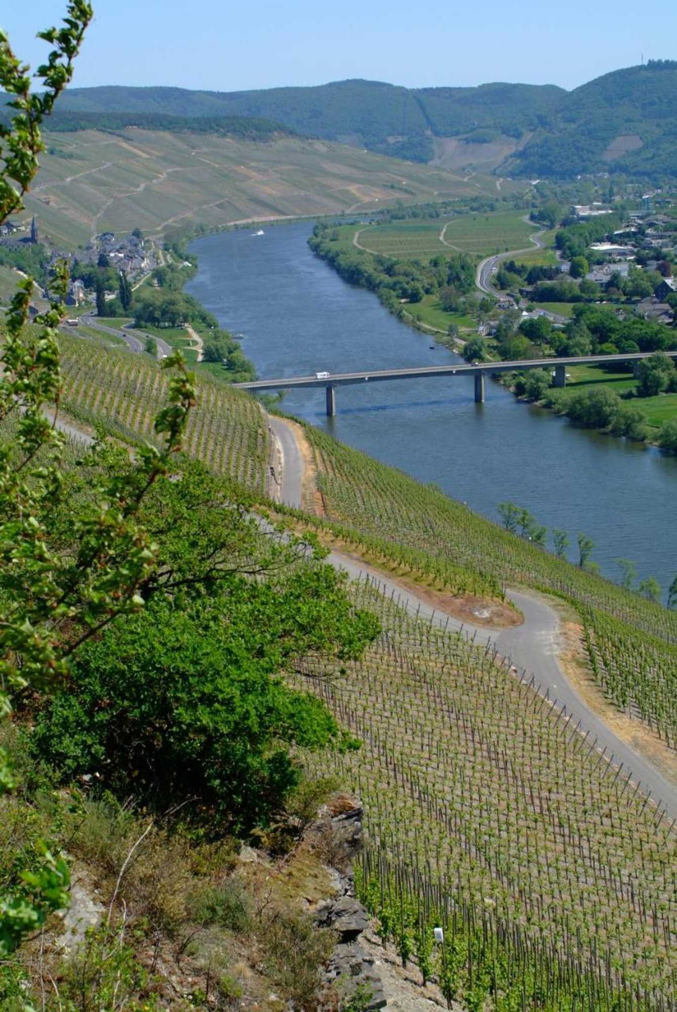 Gift card for Wein- Und Gaestehaus Genetsch