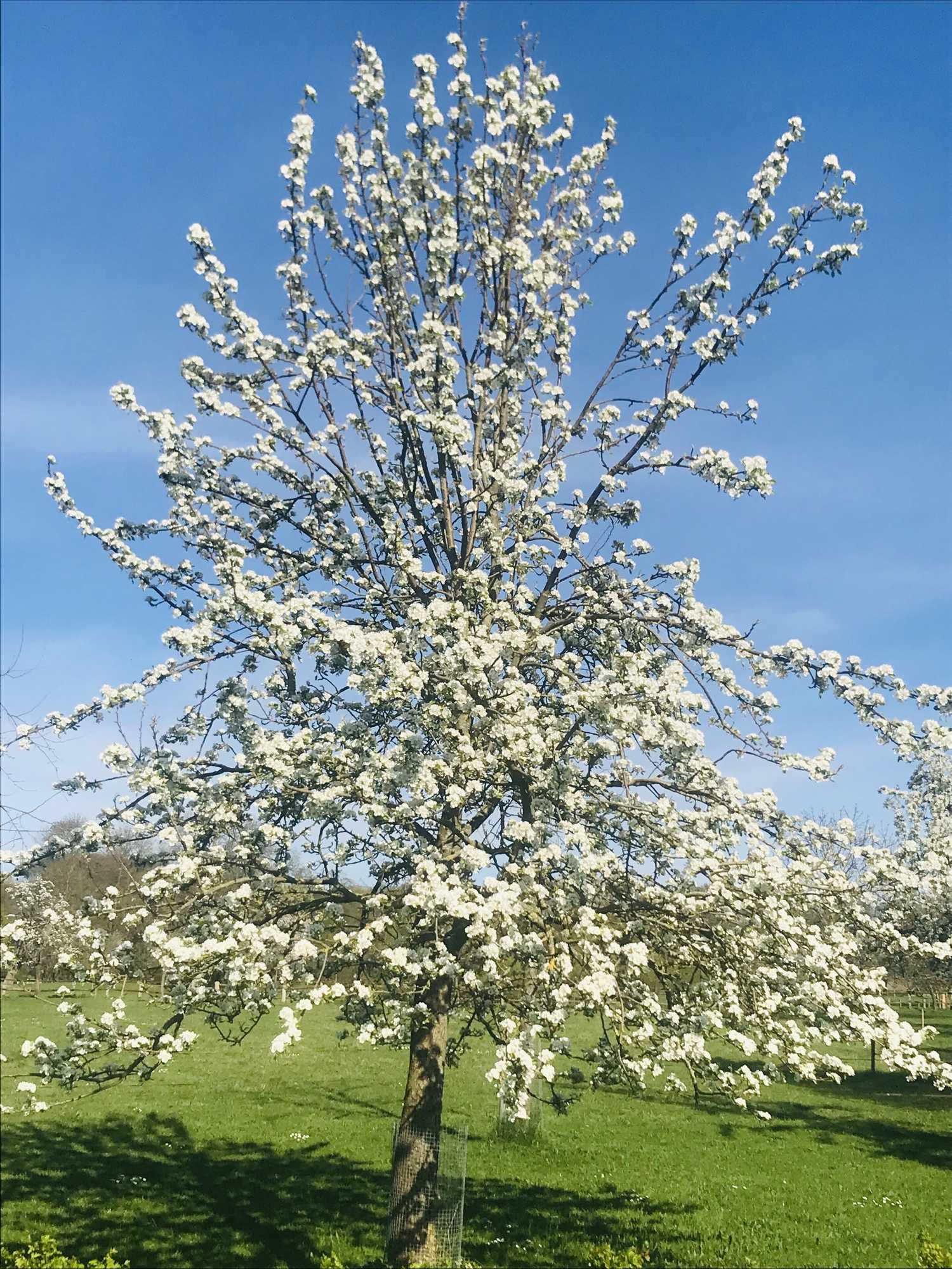 Gift card for Schlosshotel Diersfordt