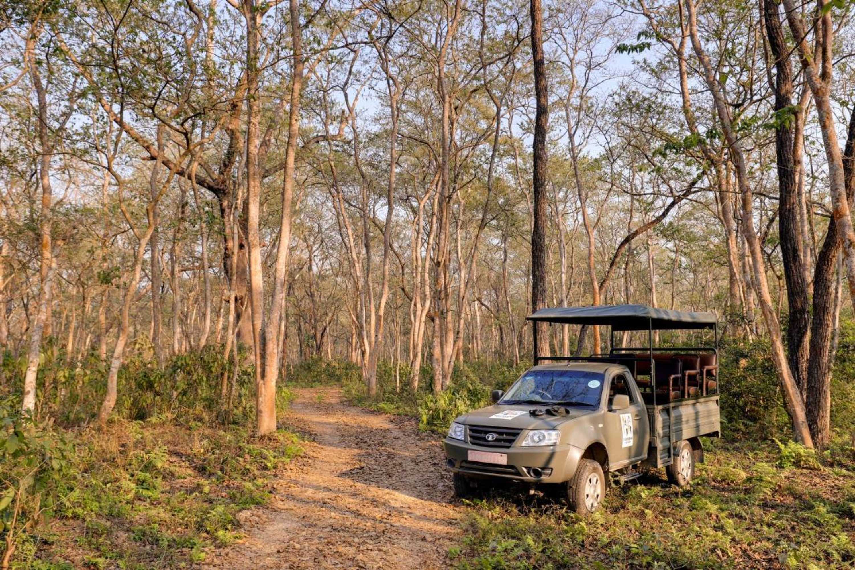 Gift card for Tigerland Safari Resort Gift card for Tigerland Safari Resort