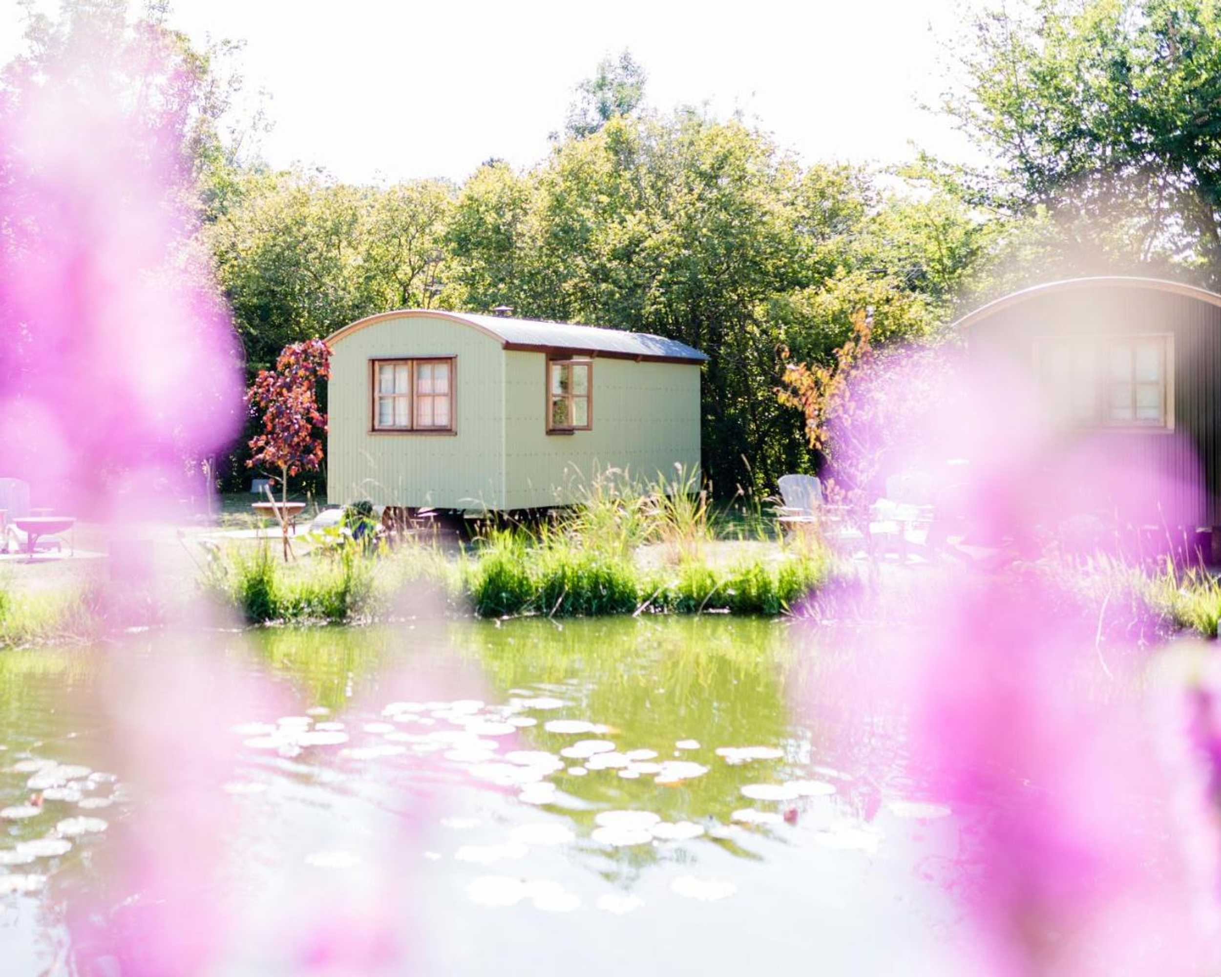 Gift card for The Merry Harriers