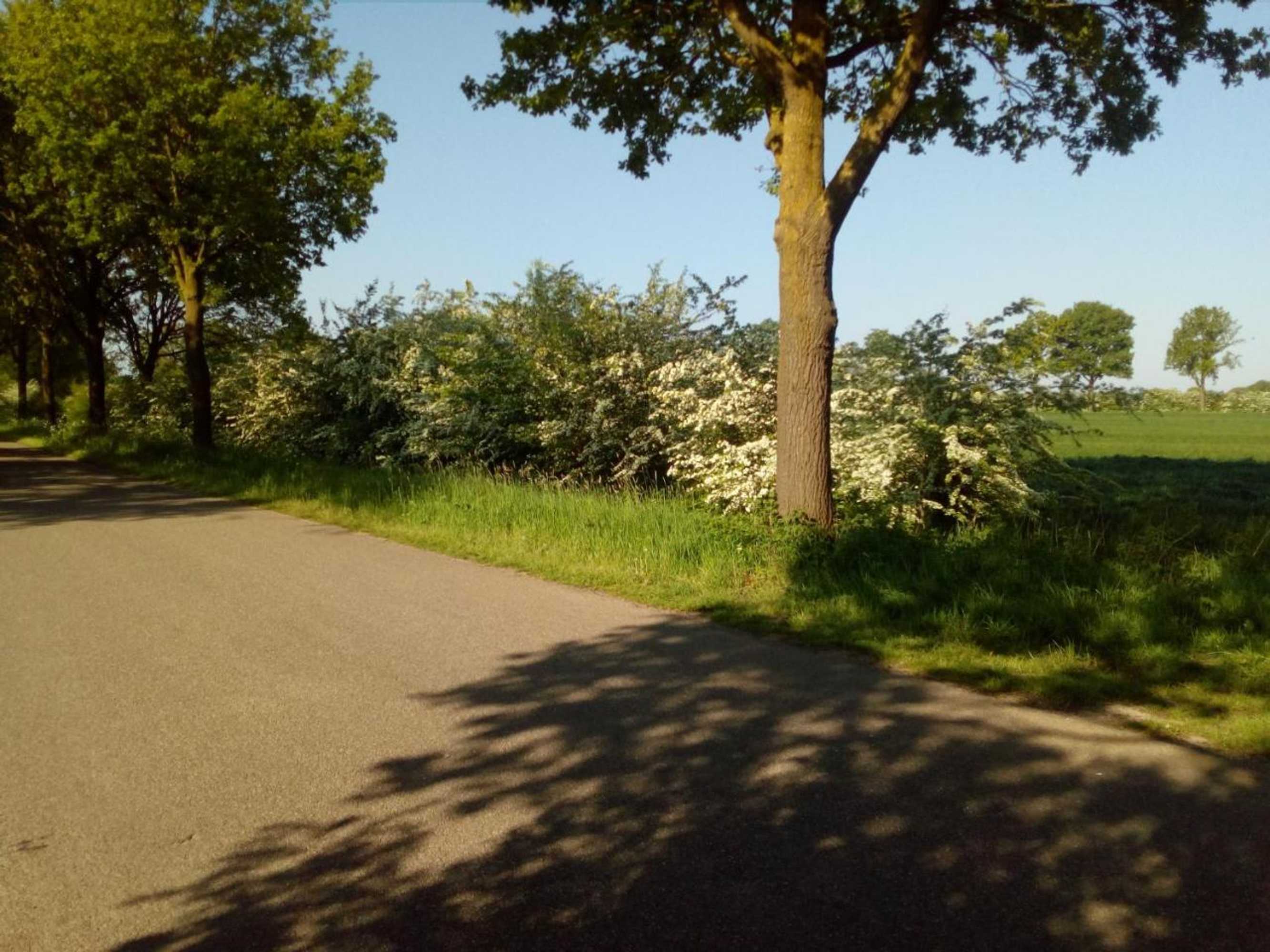 Gift card for Bed And Breakfast Langs De Maas