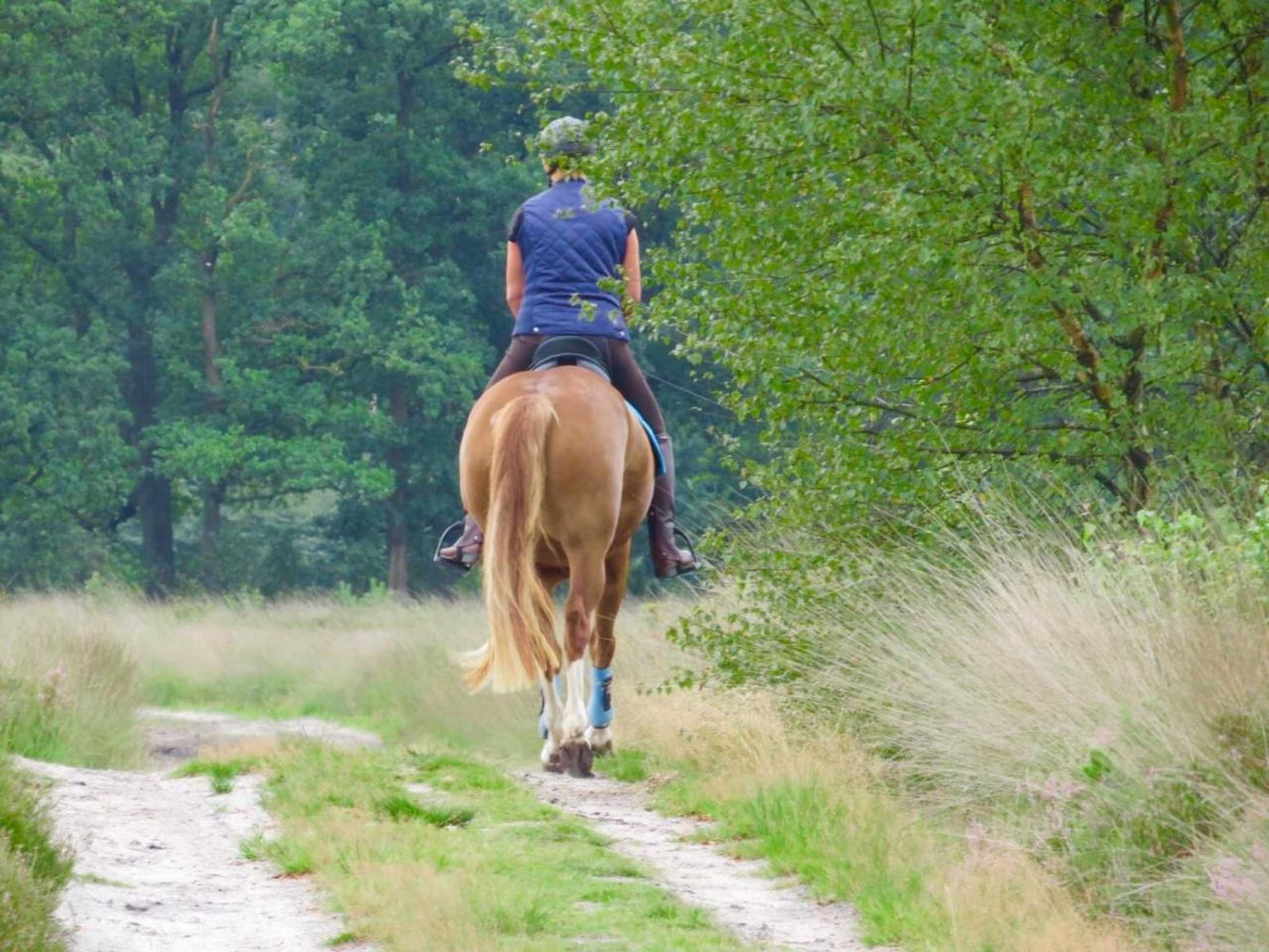 Gift card for Bed And Breakfast De Paalberg