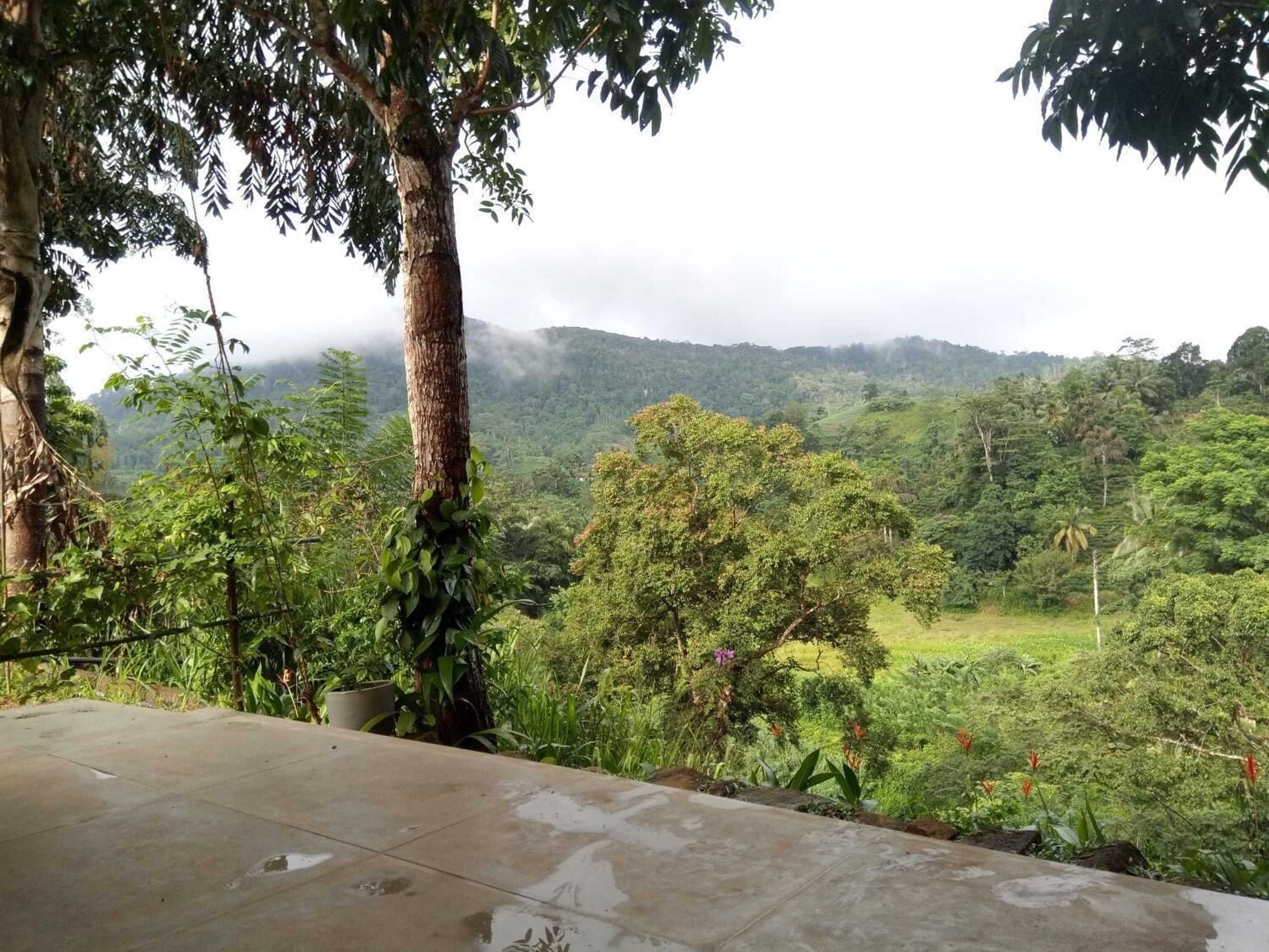 Gift card for Evergreen Villa - Sinharaja Gift card for Evergreen Villa - Sinharaja