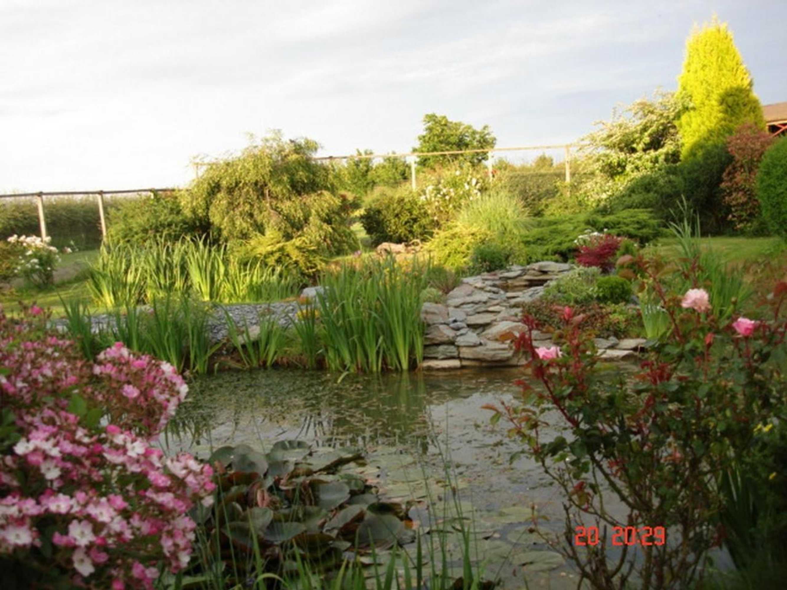 Gift card for Pointers Guest House