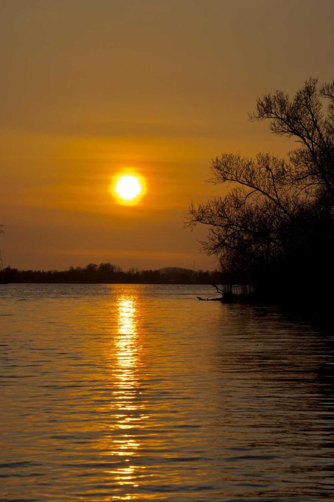 Gift card for Aquahome - NP de Biesbosch - Bijzonder Overnachten op Een Houseboat!
