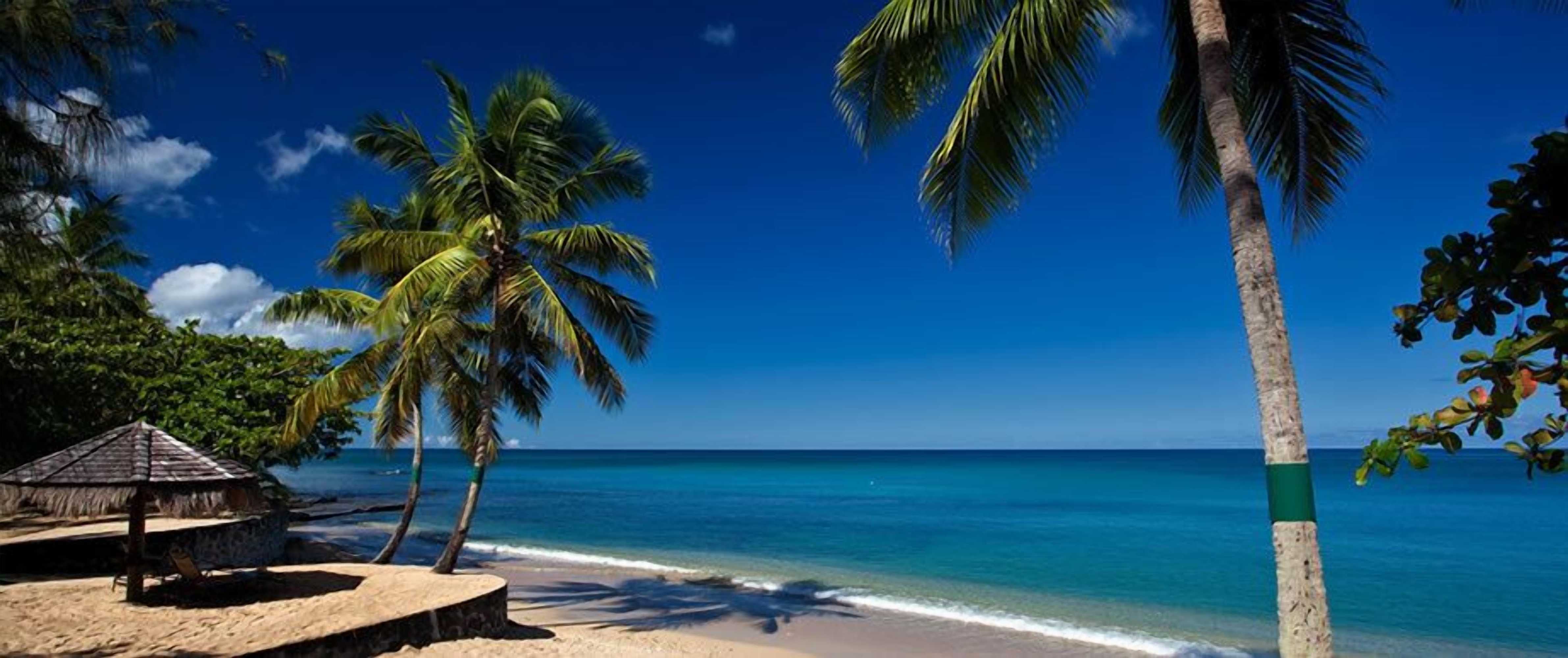 Gift card for East Winds Saint Lucia