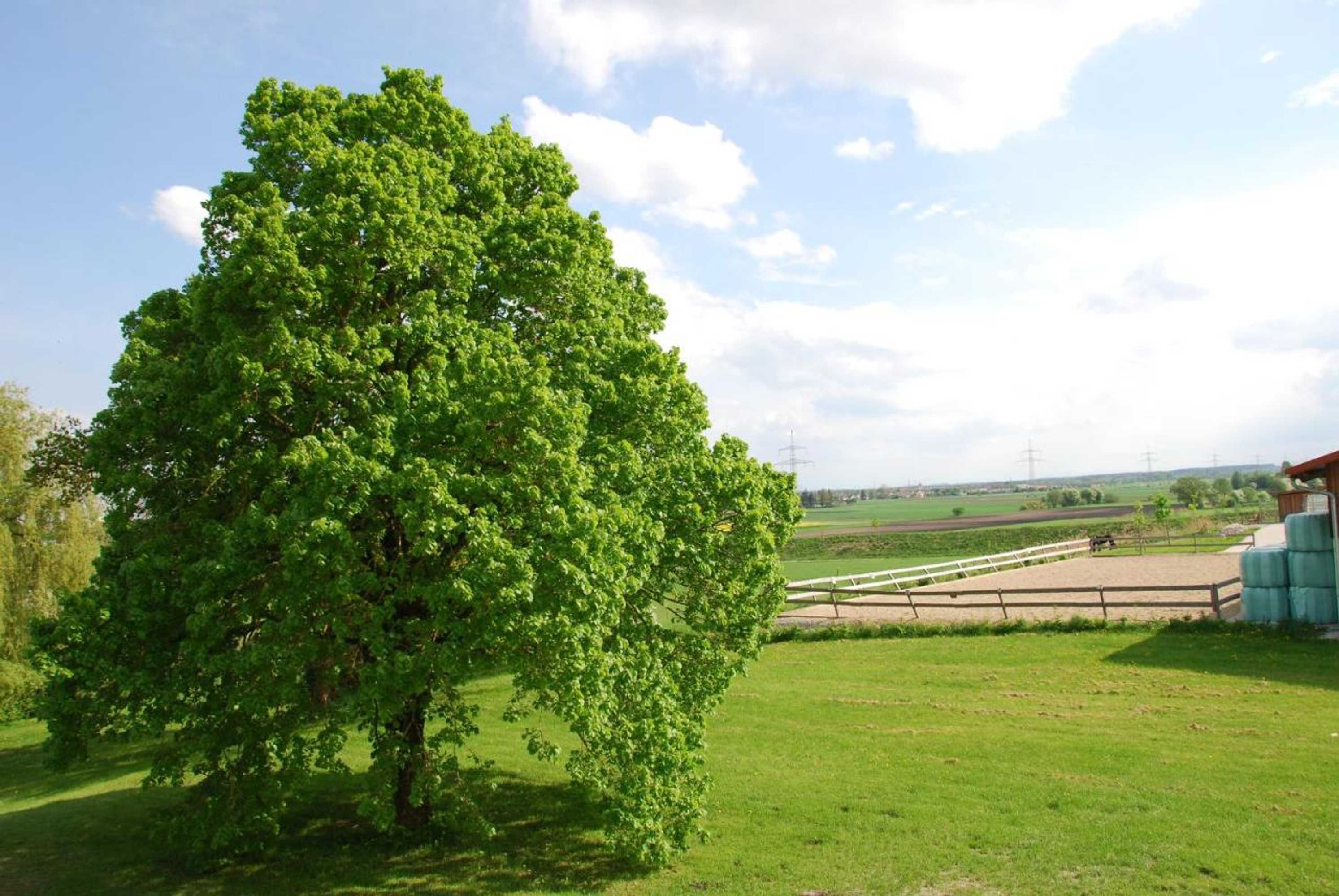 Gift card for Hotel Parsberg