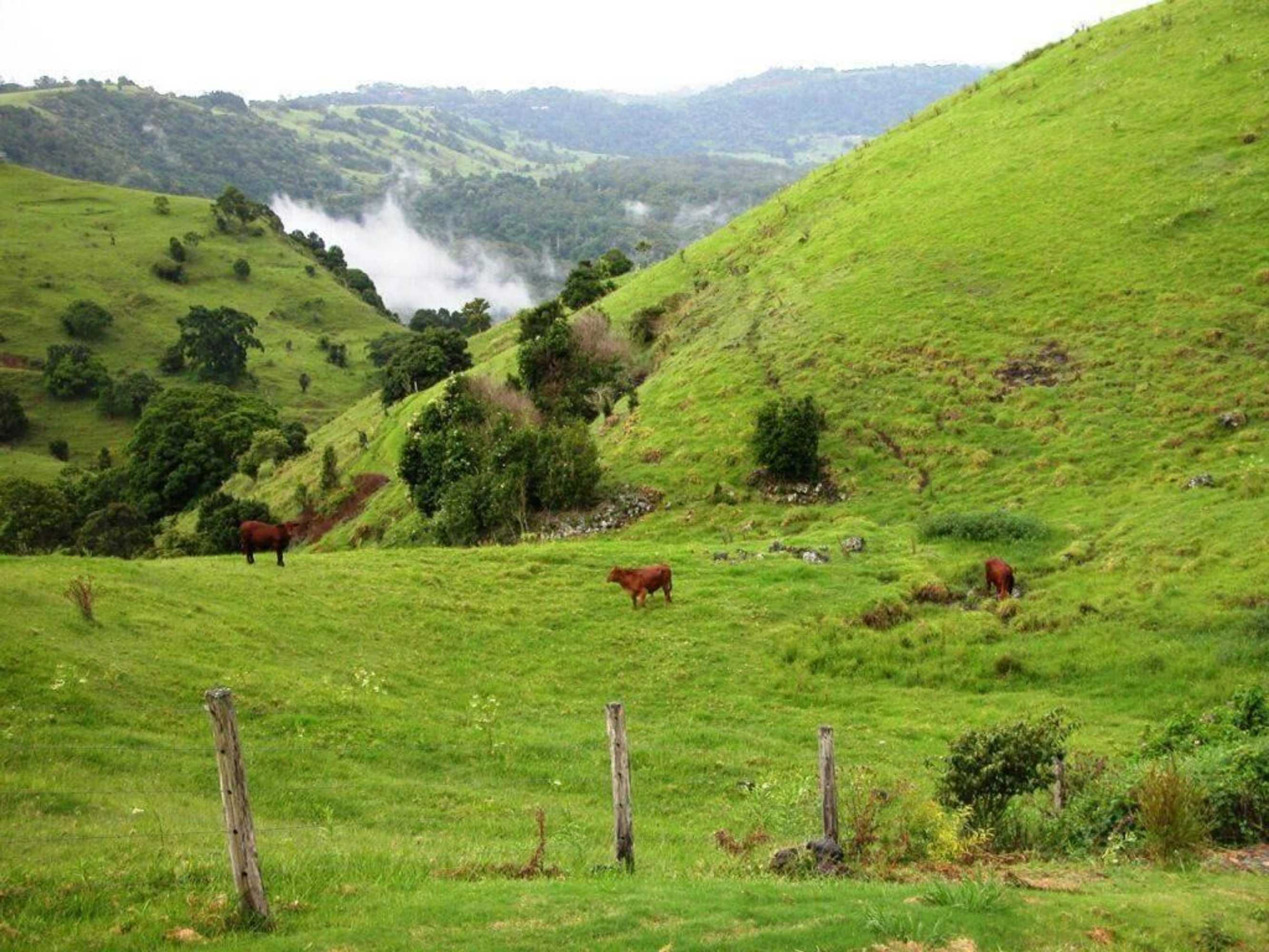 Gift card for Top of The Hill Gift card for Top of The Hill