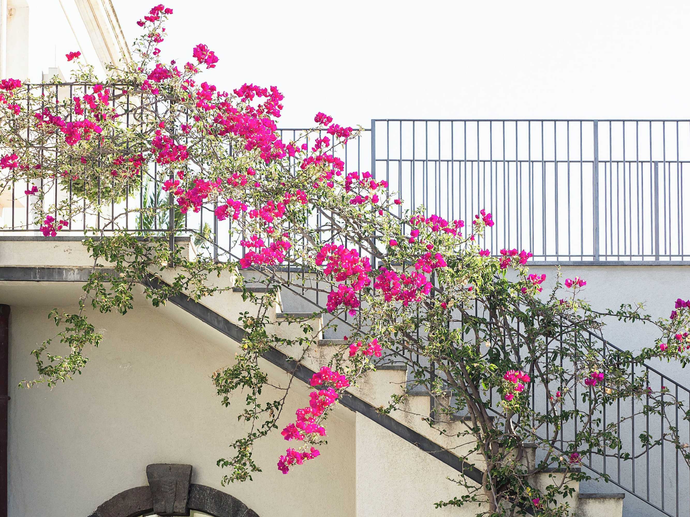 Gift card for Donna Carmela Resort & Lodges