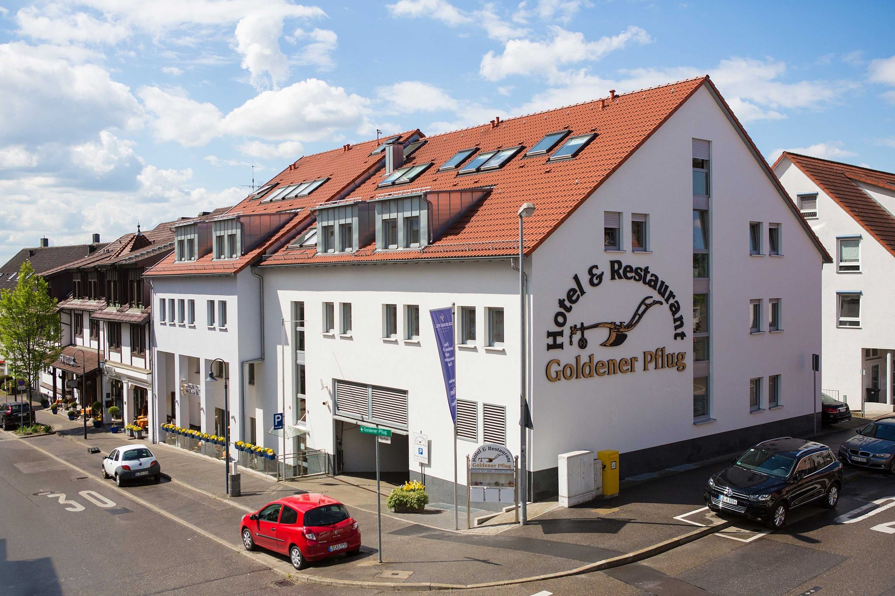 Gift card for Hotel & Restaurant Goldener Pflug Gift card for Hotel & Restaurant Goldener Pflug