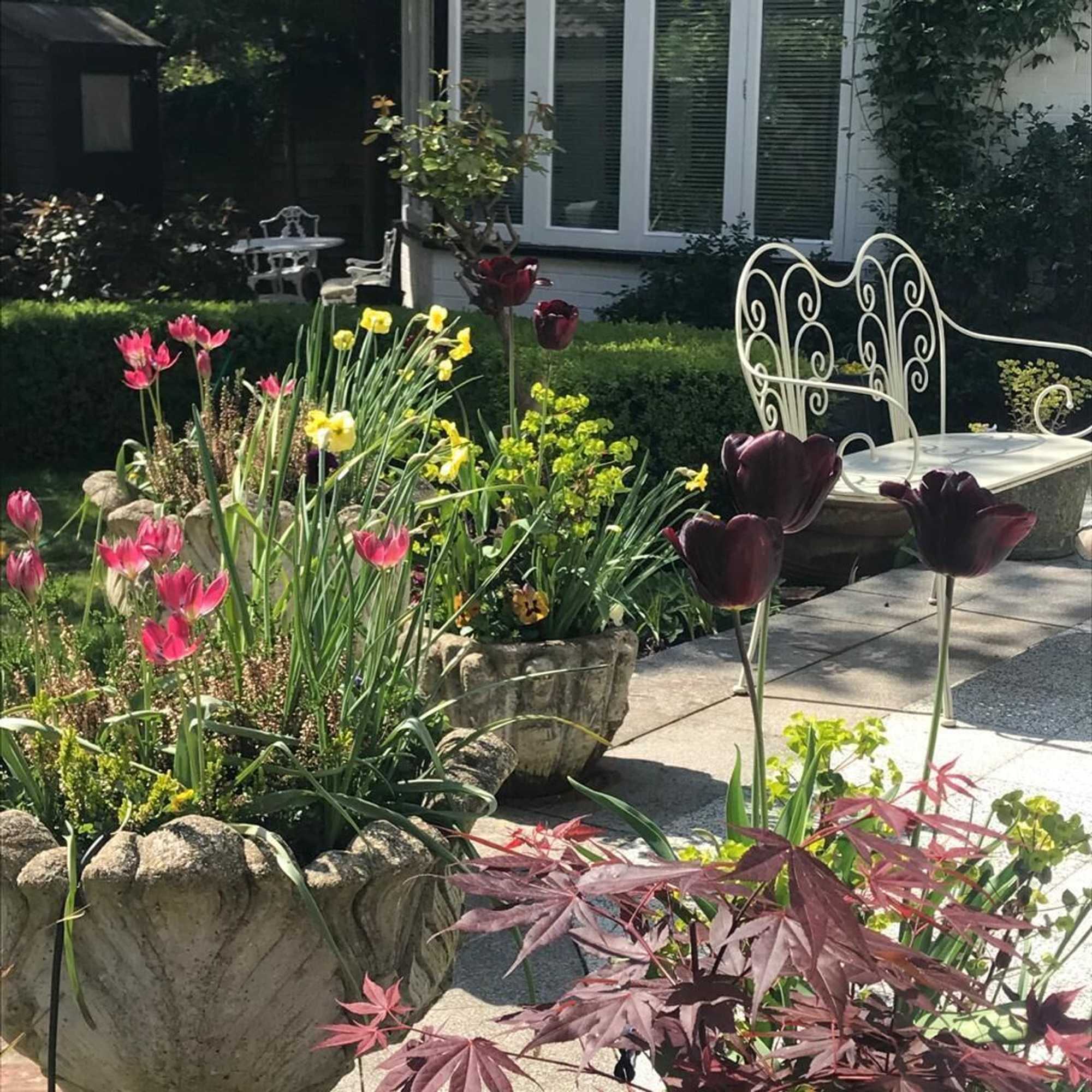 Gift card for West Lodge Hotel