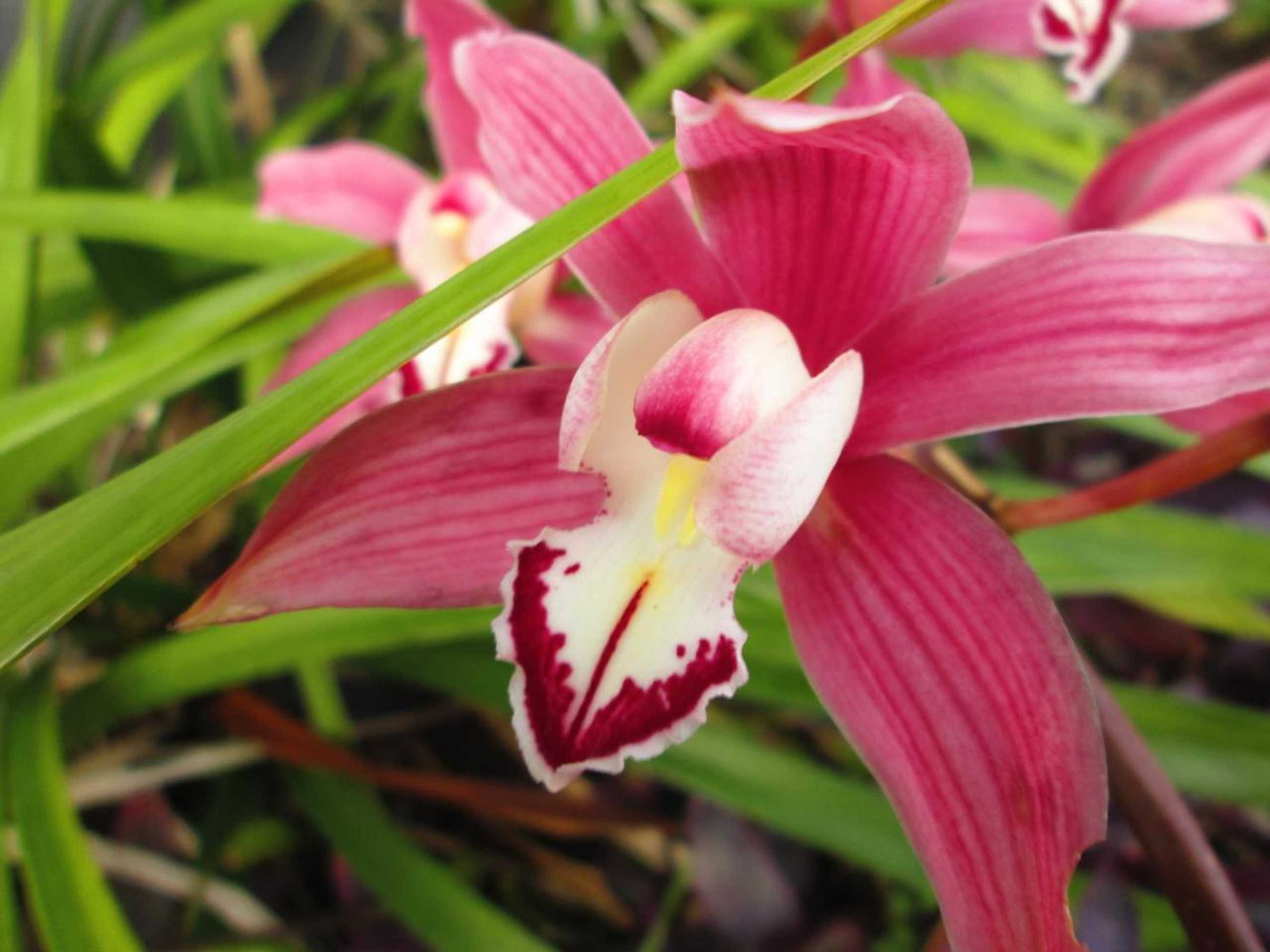 Gift card for Residência Machado