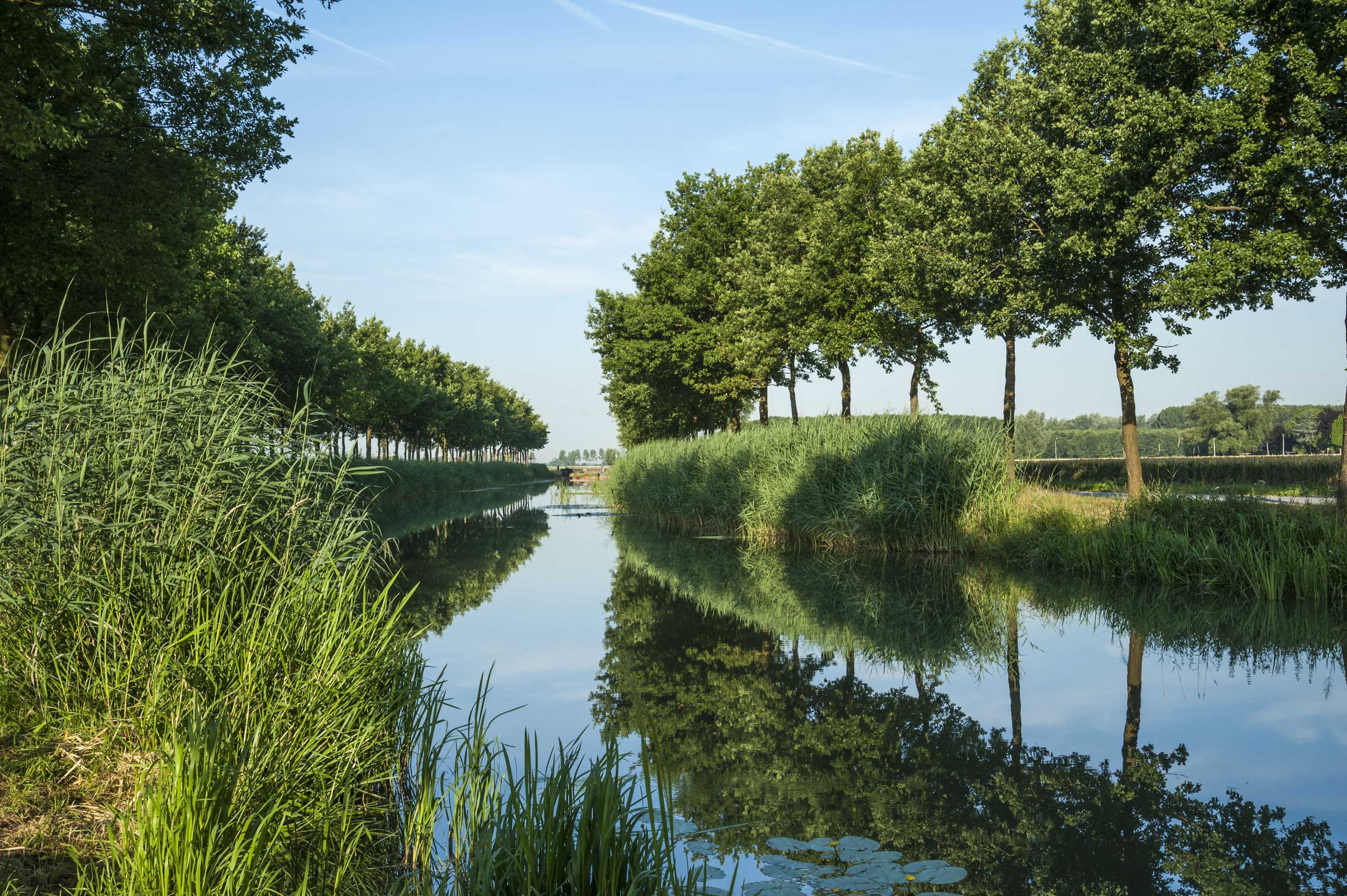 Gift card for Linge Hotel Elst Gift card for Linge Hotel Elst