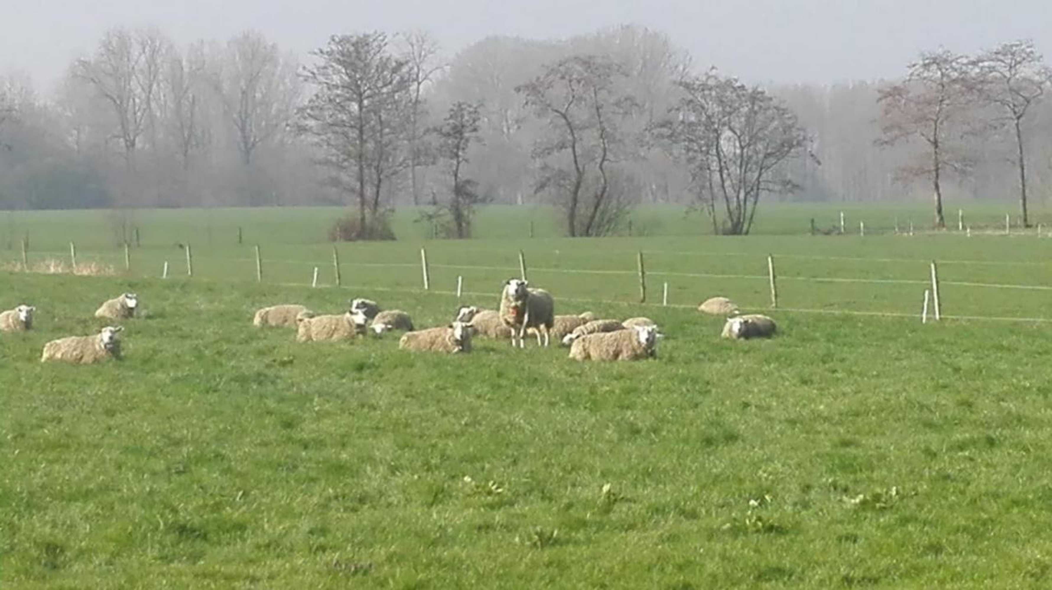 Gift card for De Weije Wereld