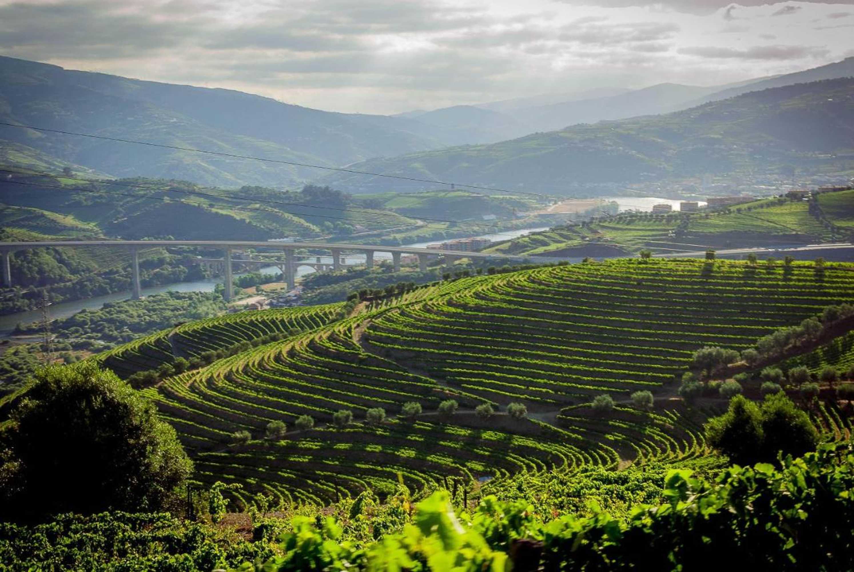 Gift card for Quinta do Vallado - Douro Wine Hotel Gift card for Quinta do Vallado - Douro Wine Hotel