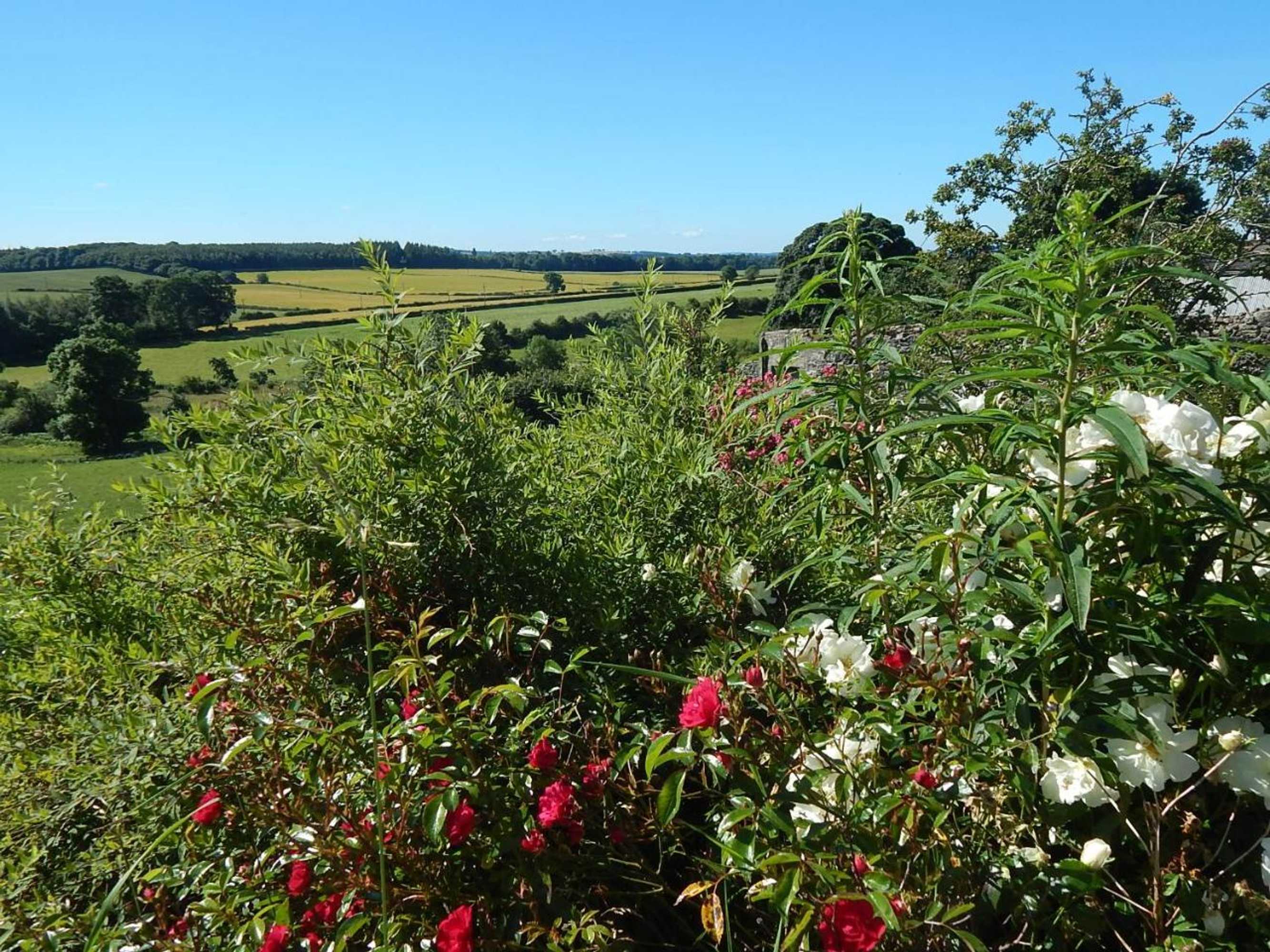 Gift card for Garden Bank Cottage