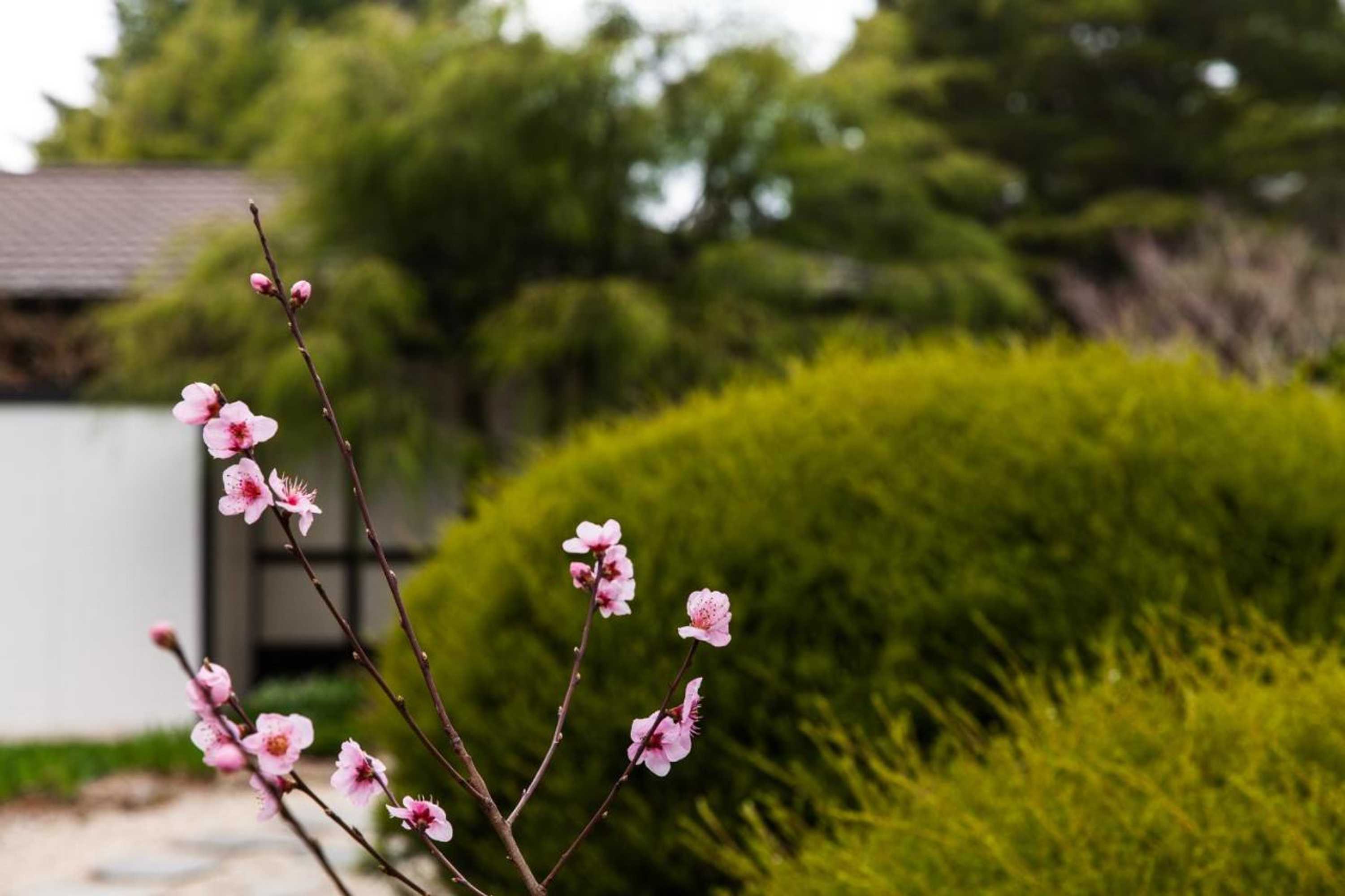 Gift card for Shizuka Ryokan Japanese Country Spa & Wellness Retreat Gift card for Shizuka Ryokan Japanese Country Spa & Wellness Retreat