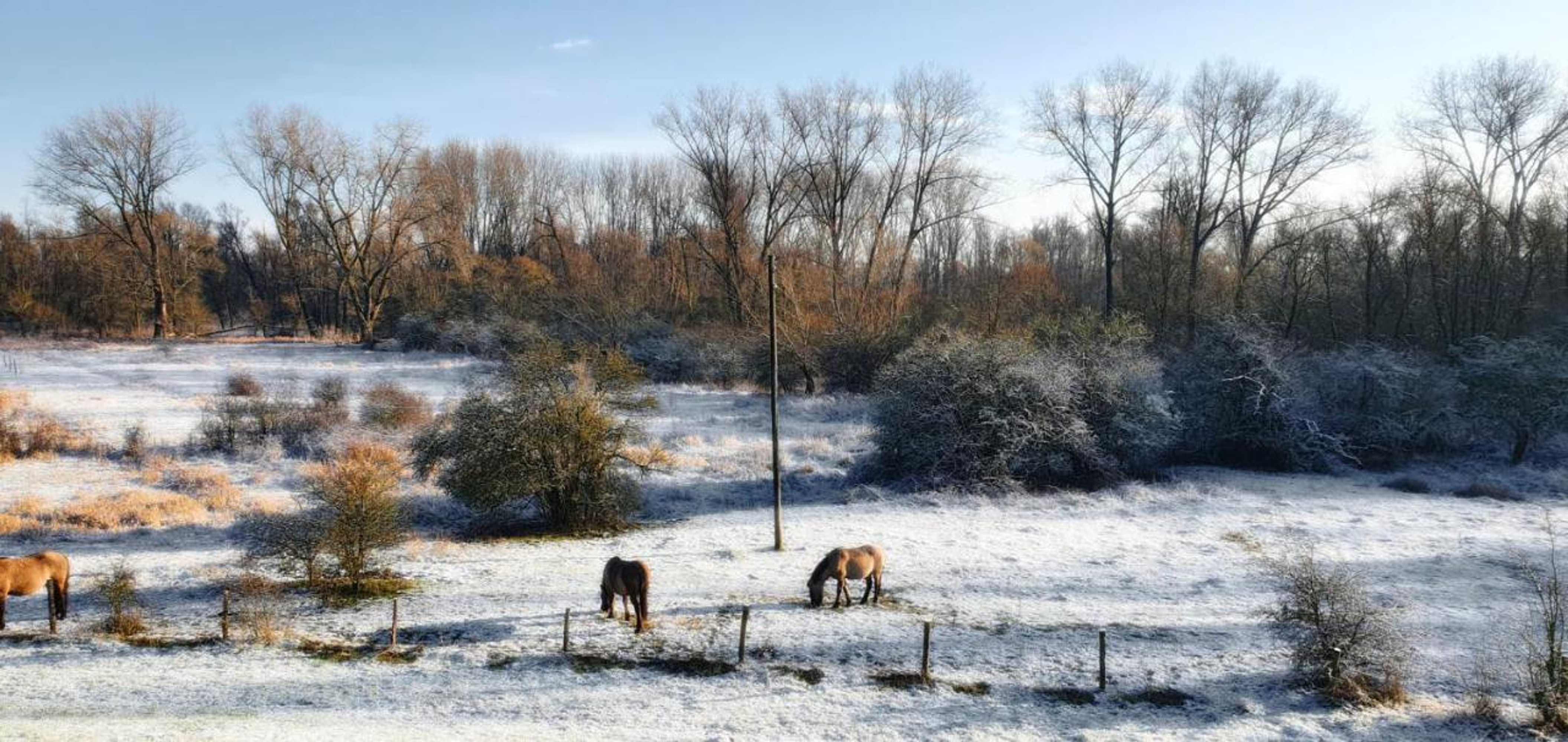 Gift card for Waard Van Kekerdom