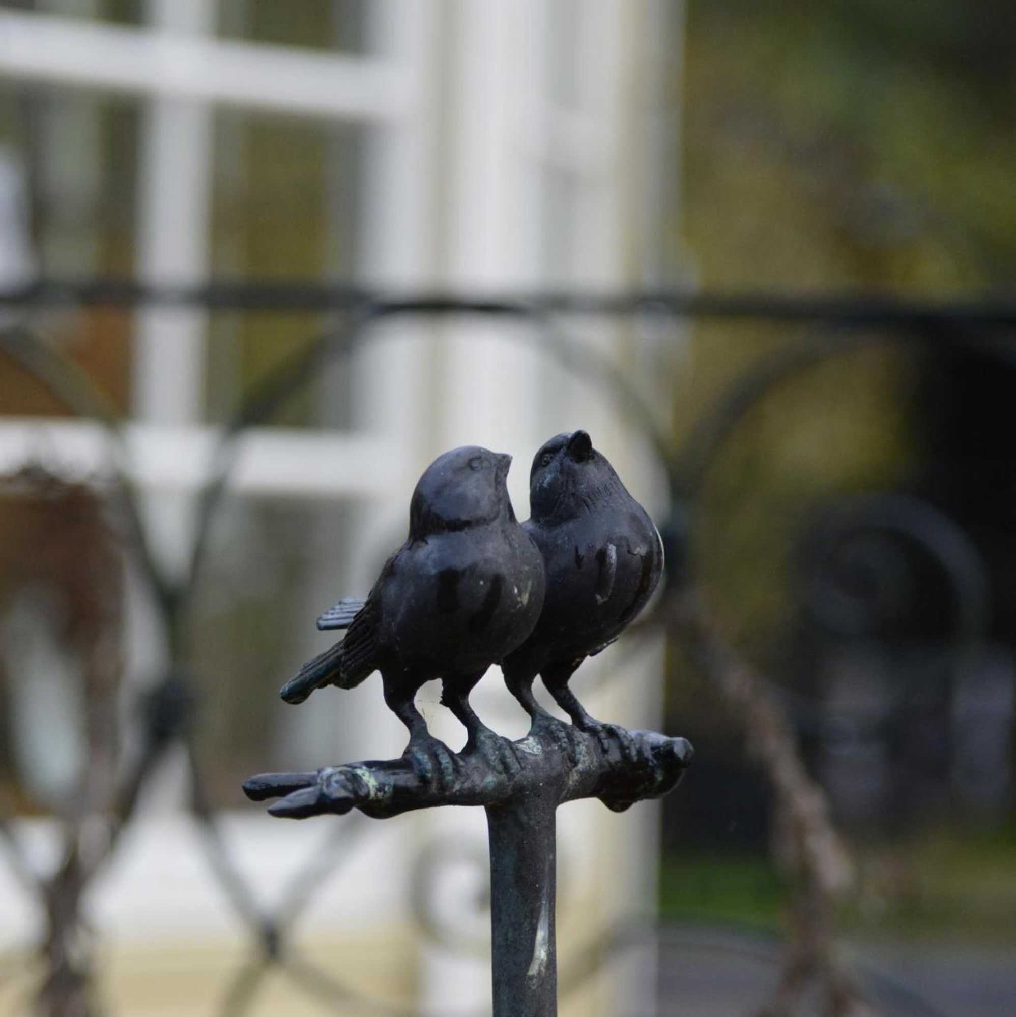 Gift card for Veld en Bosch