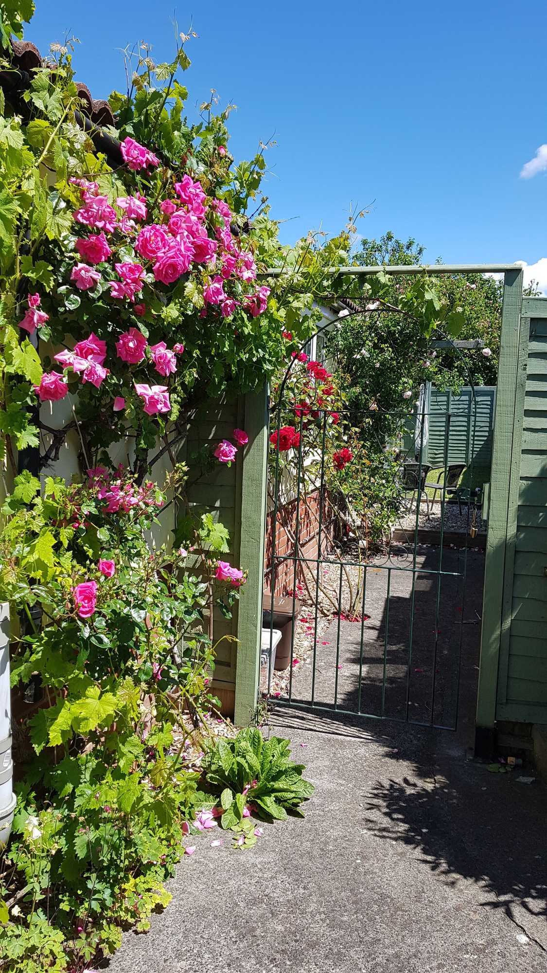 Gift card for Rosehip Cottage