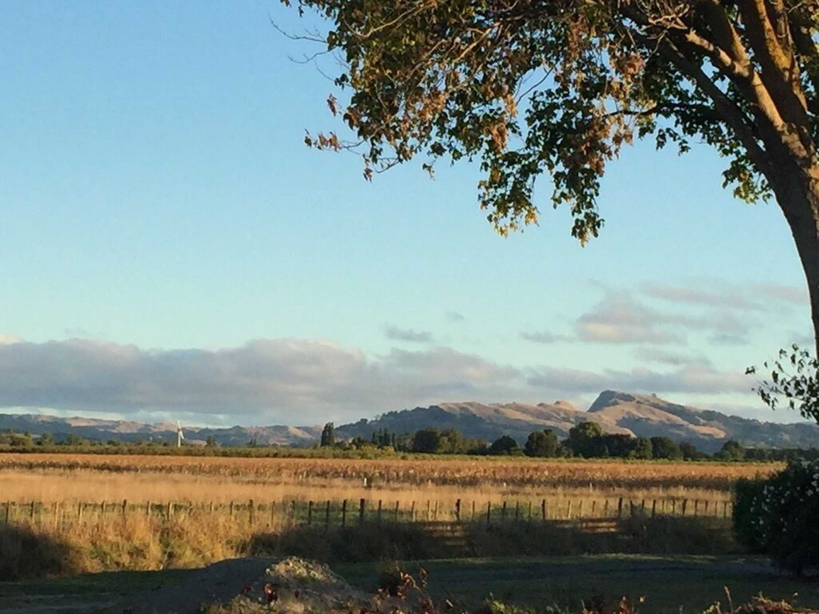 Gift card for Amuri Villas