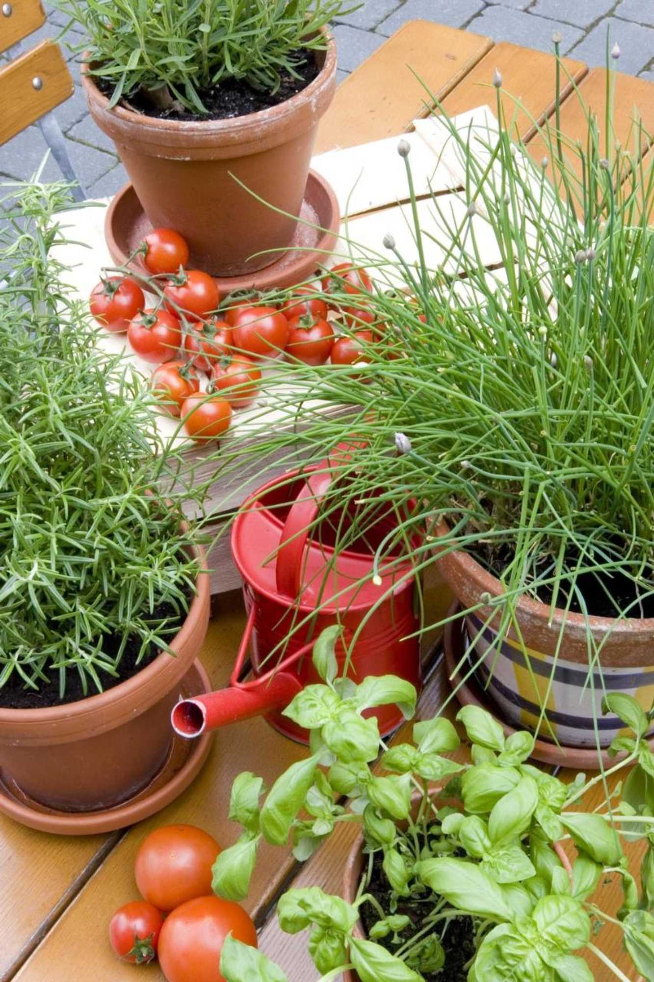 Gift card for Hotel-Restaurant Im Heisterholz