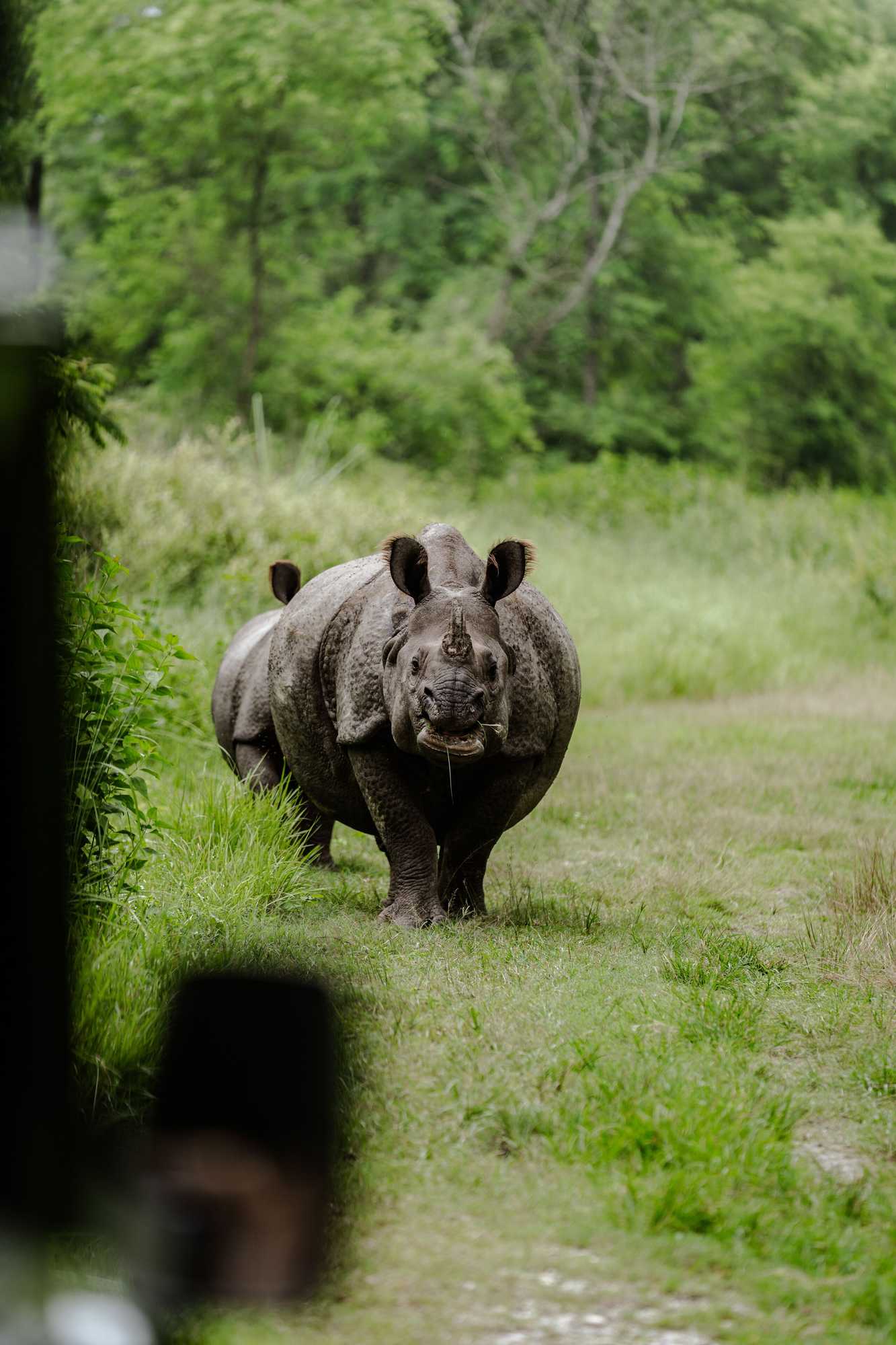 Gift card for Sanctuary - Chitwan National Park , Nepal Gift card for Sanctuary - Chitwan National Park , Nepal
