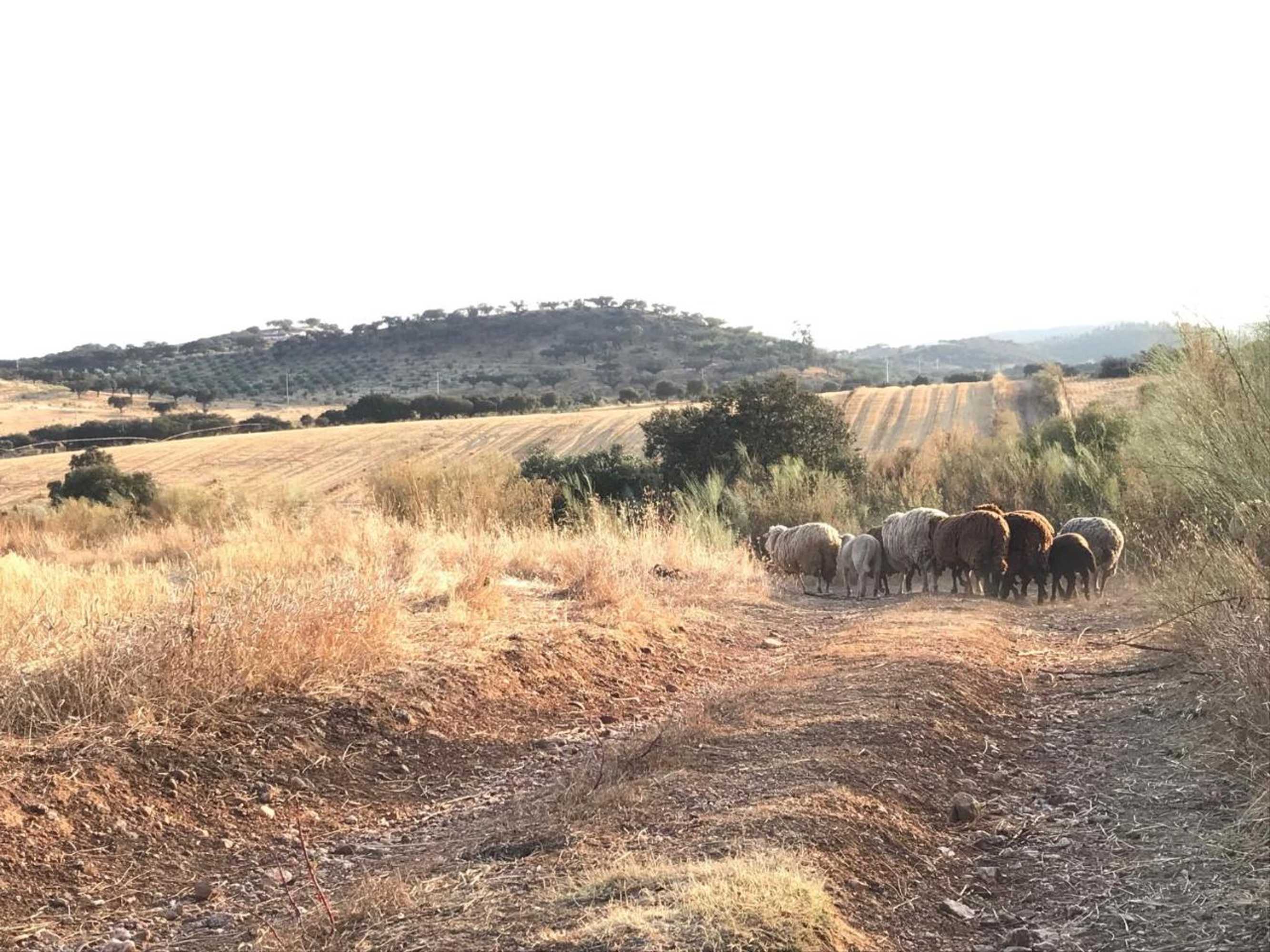 Gift card for Monte Dos Vicentes