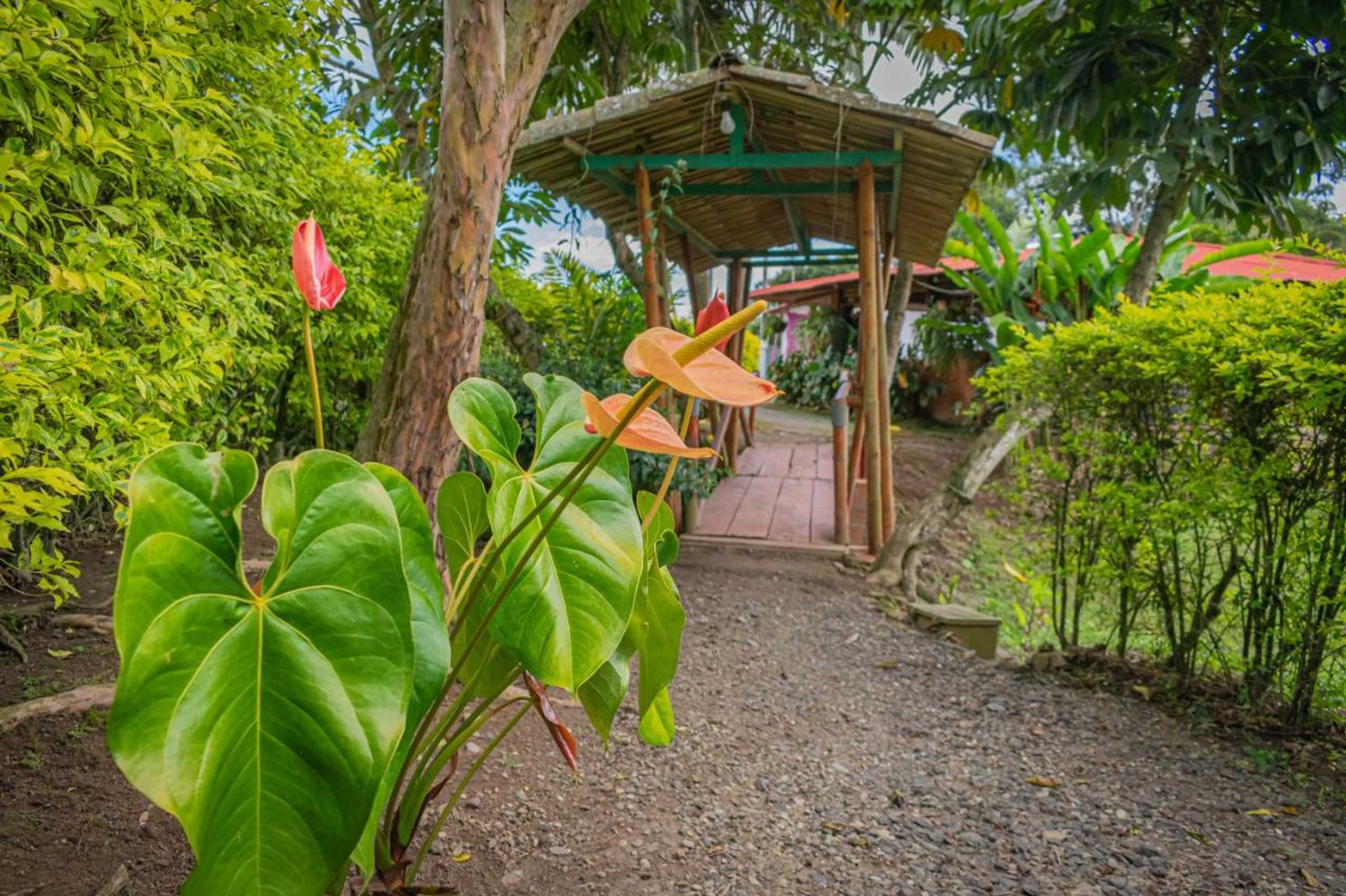 Gift card for Finca Hotel El Tizon
