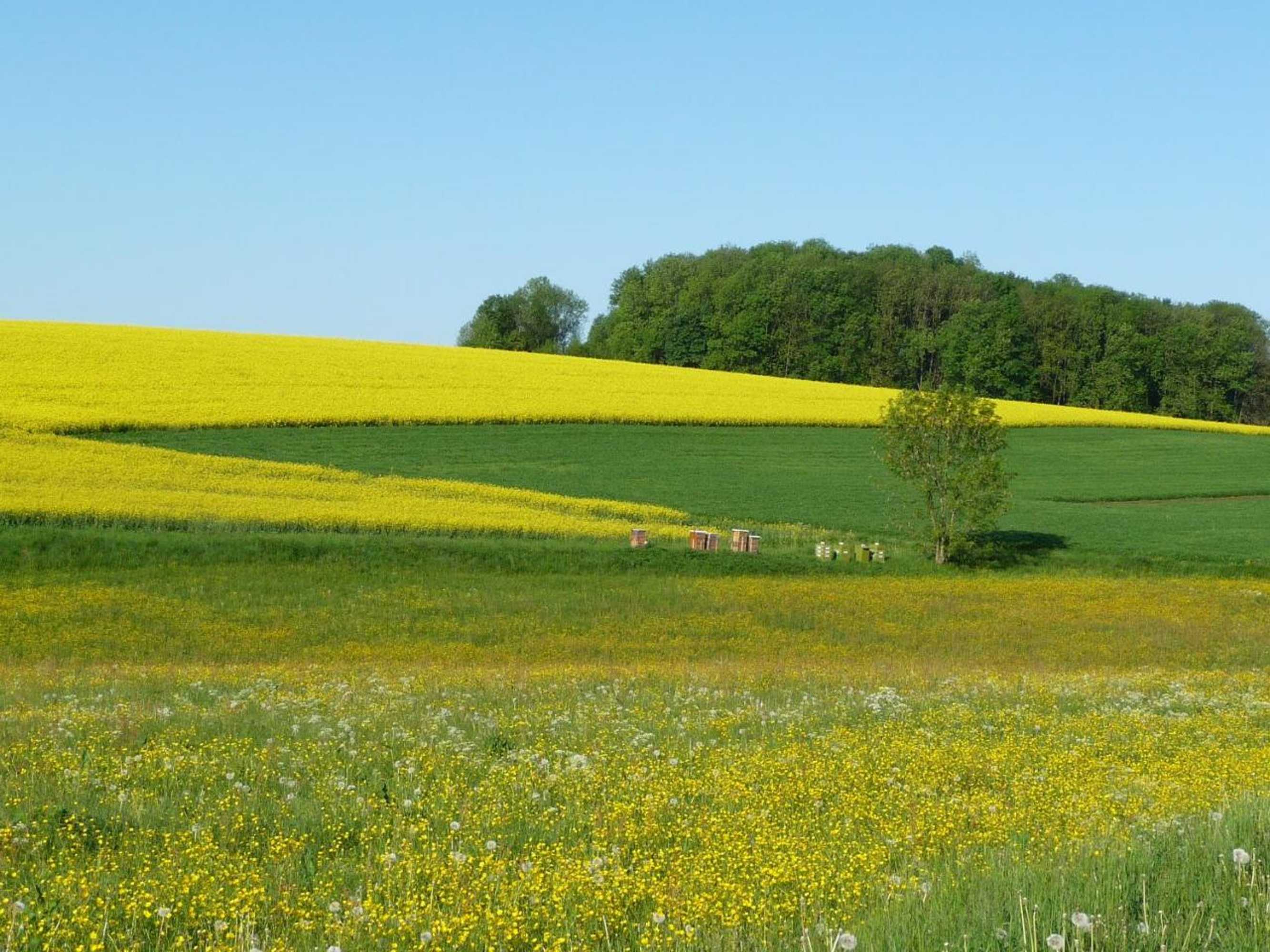 Gift card for Hotel Kuchalber Hof