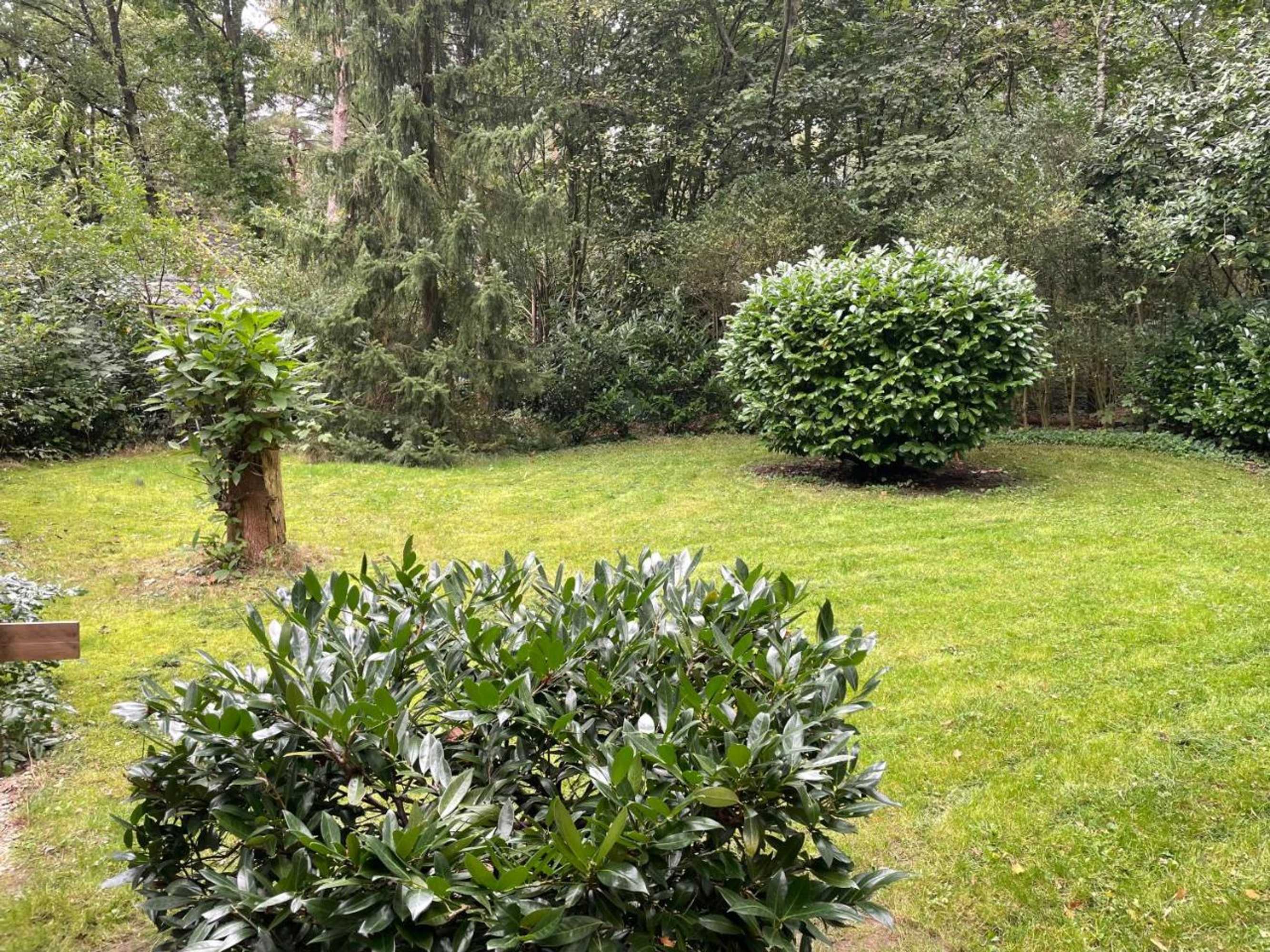 Gift card for Vakantiehuis Vosseveen