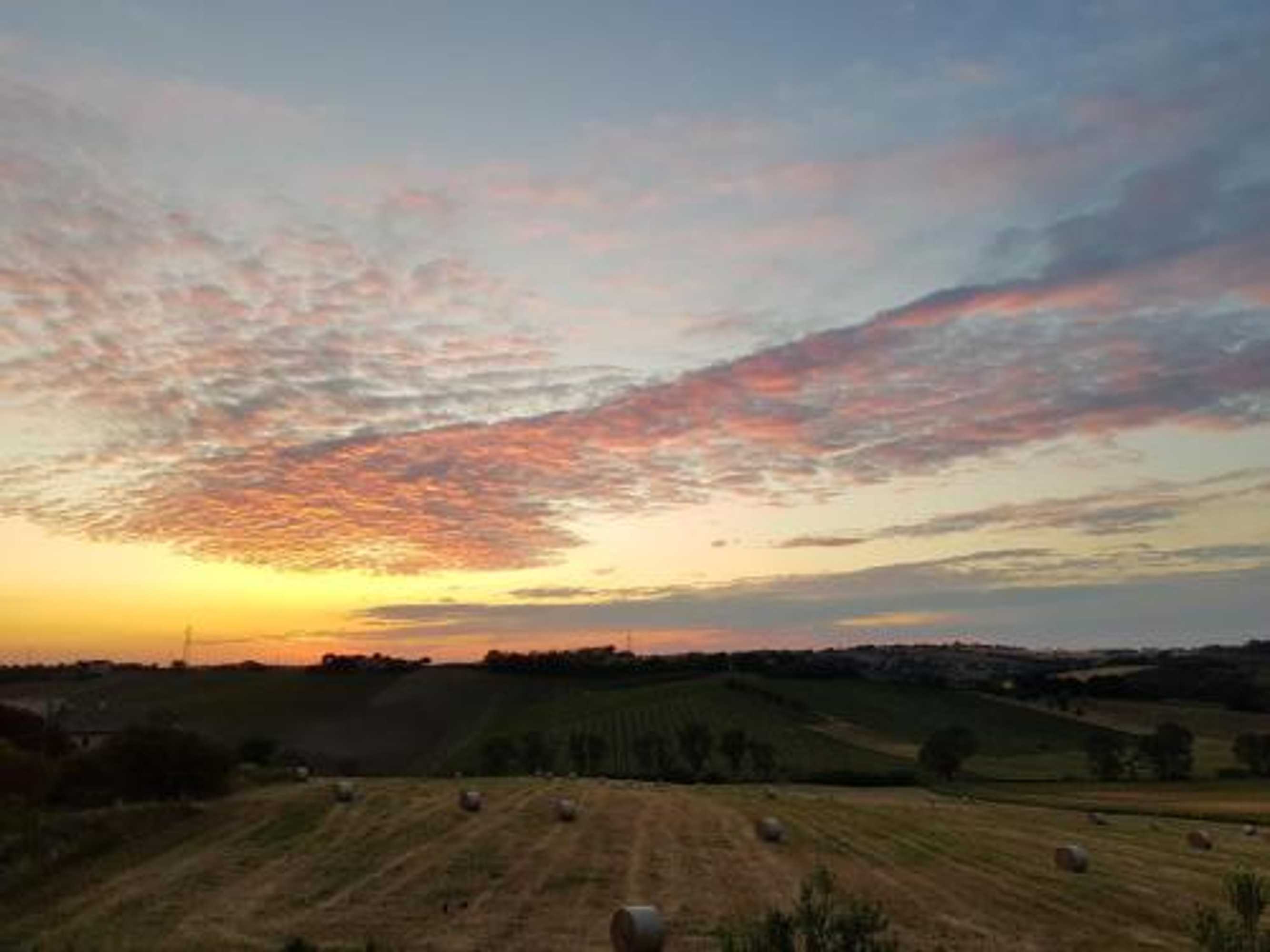 Gift card for Agriturismo Bio Verde Armonia Gift card for Agriturismo Bio Verde Armonia