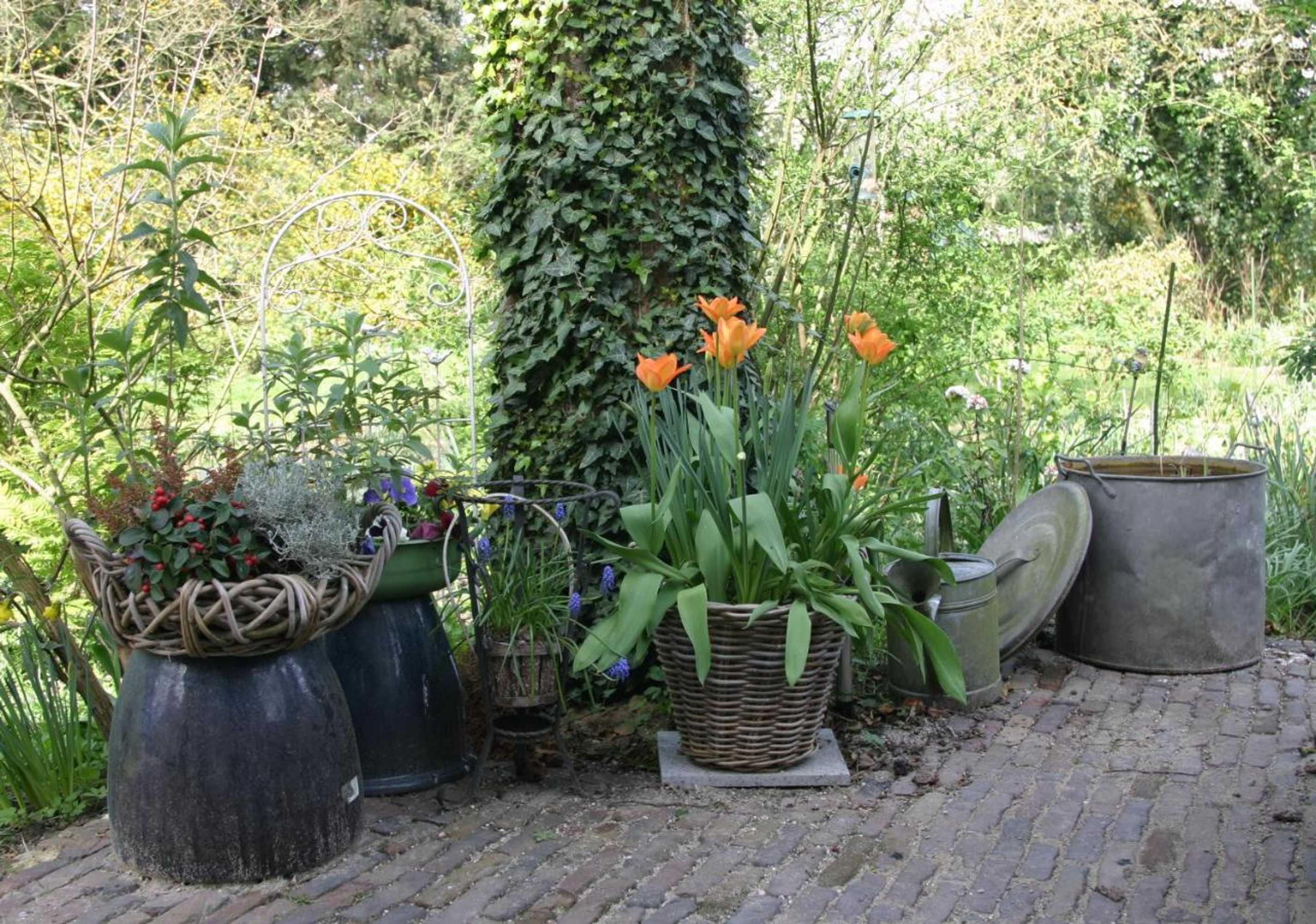 Gift card for Bed En Breakfast Huys En Hoff