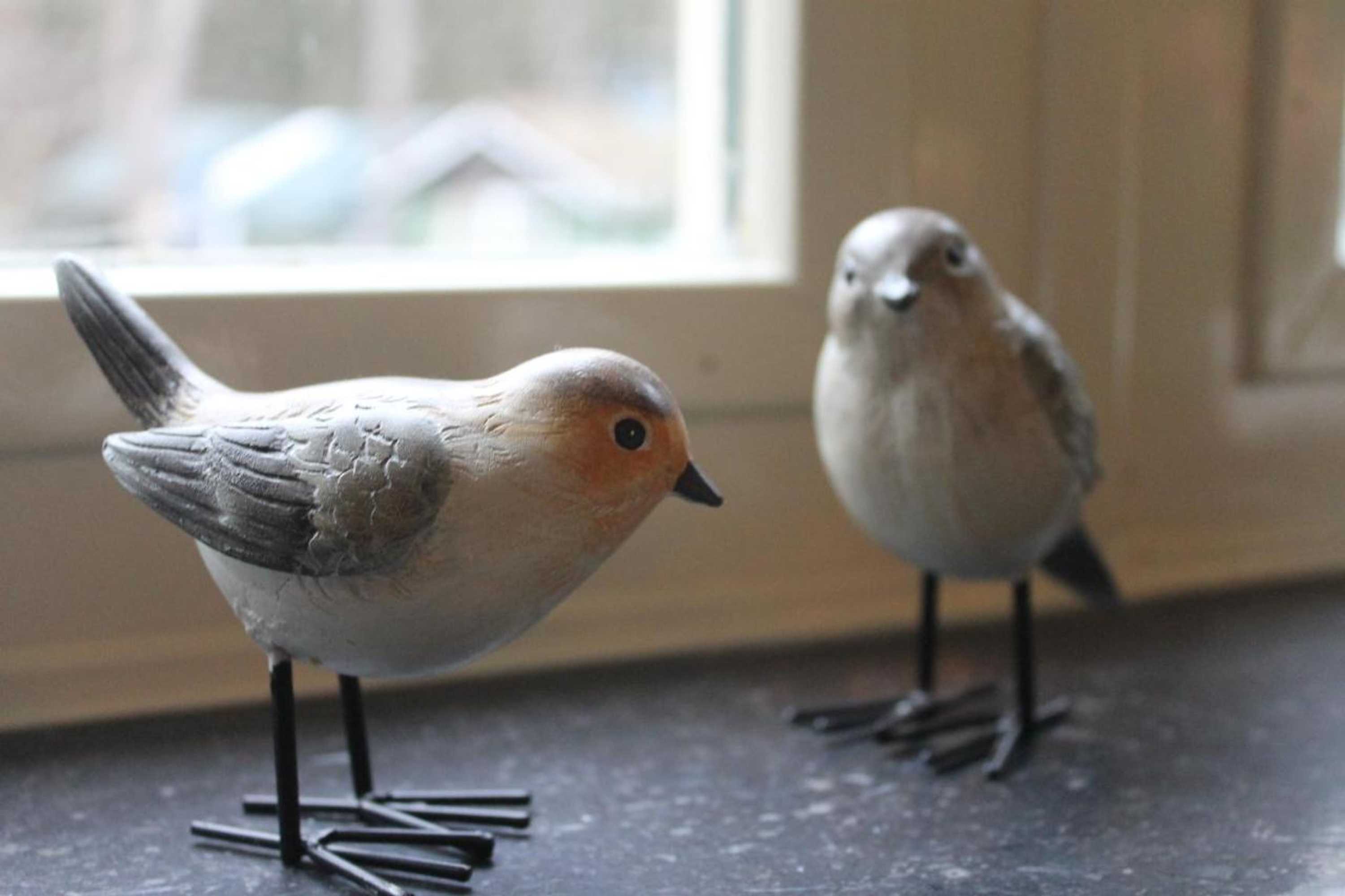 Gift card for Bosgeluk