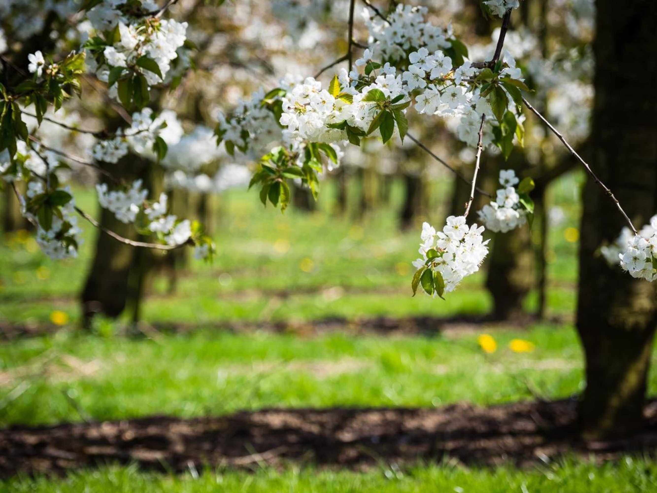 Gift card for De Oosterling