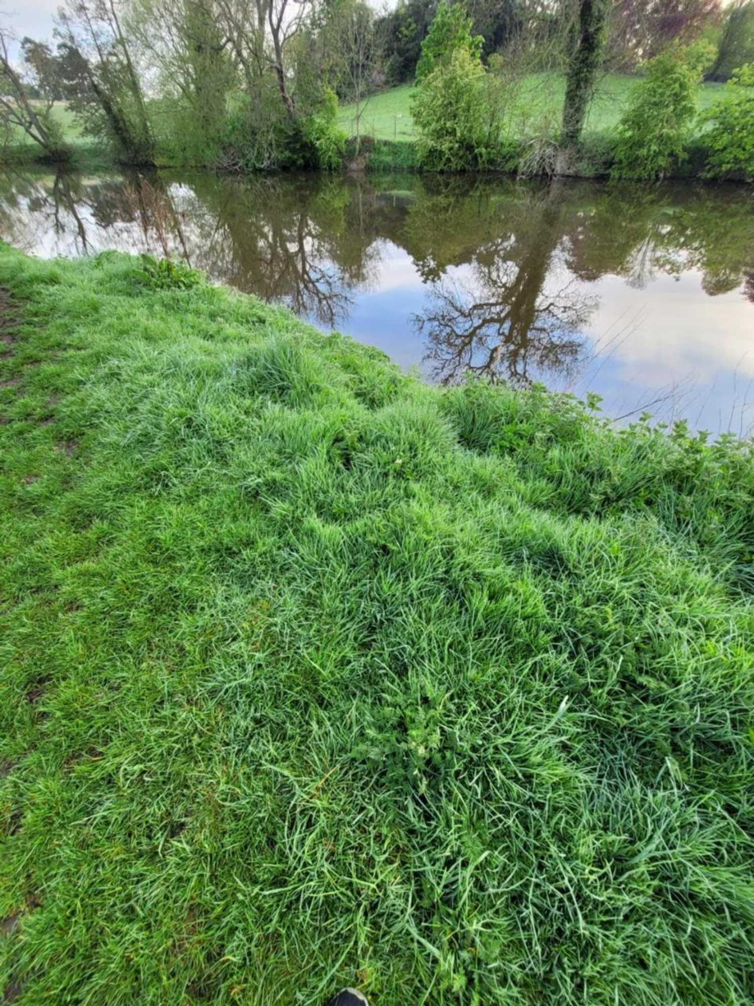 Gift card for The Jackdaw