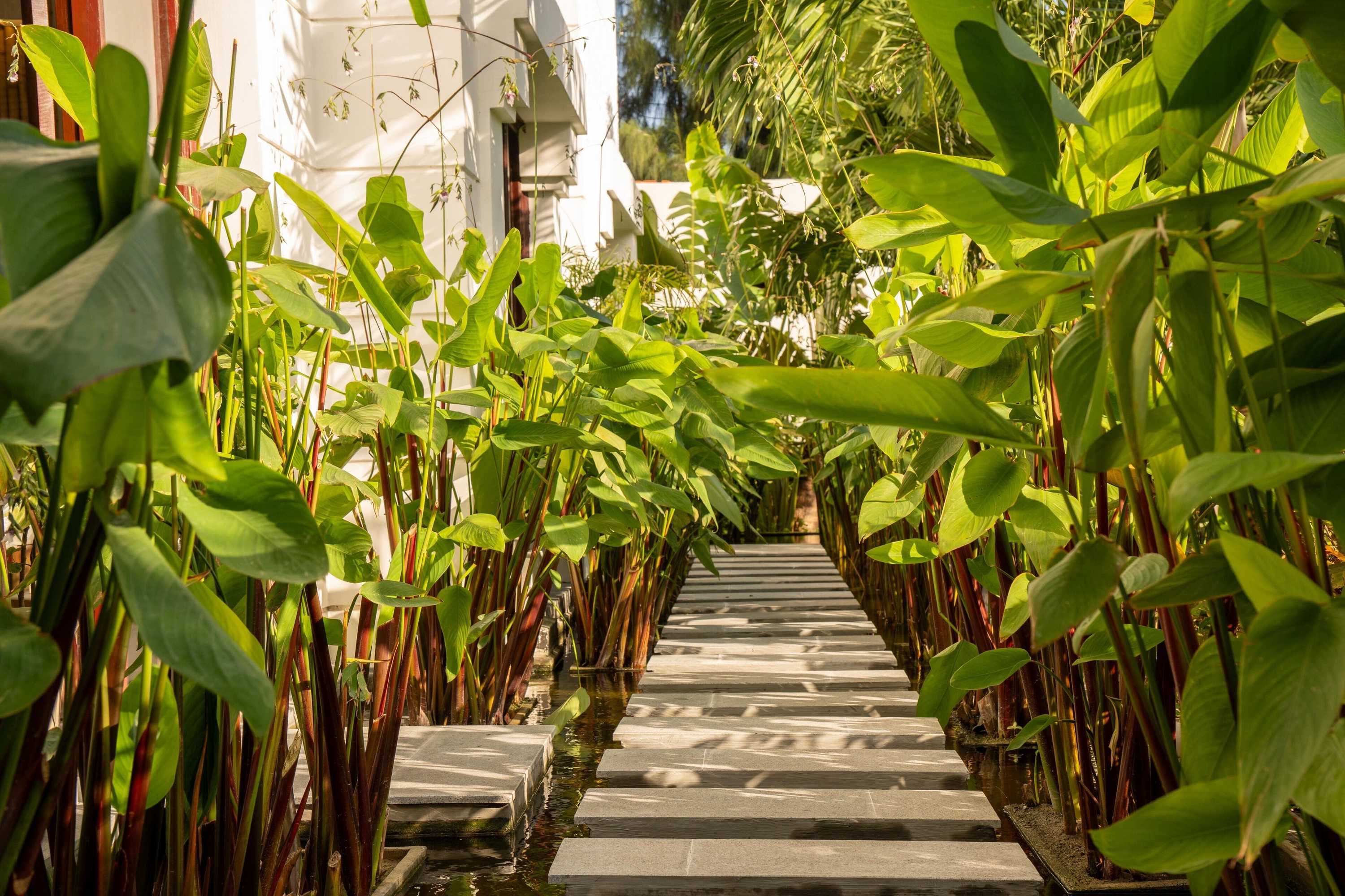 Gift card for Pax Ana Doc Let Resort & Spa