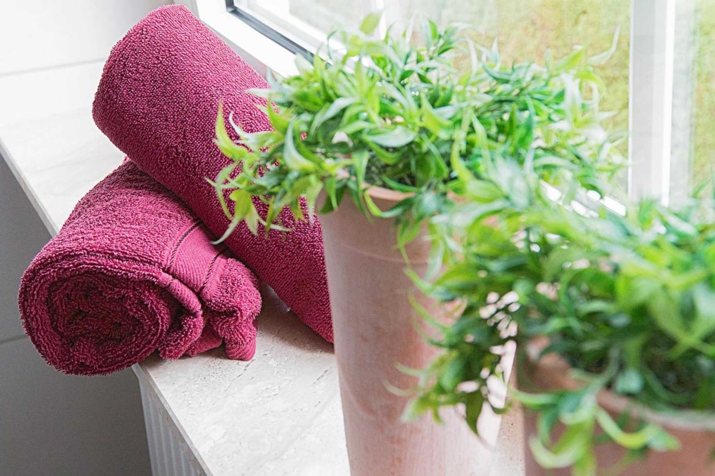 Gift card for Haus Anna an Der Stadtmauer